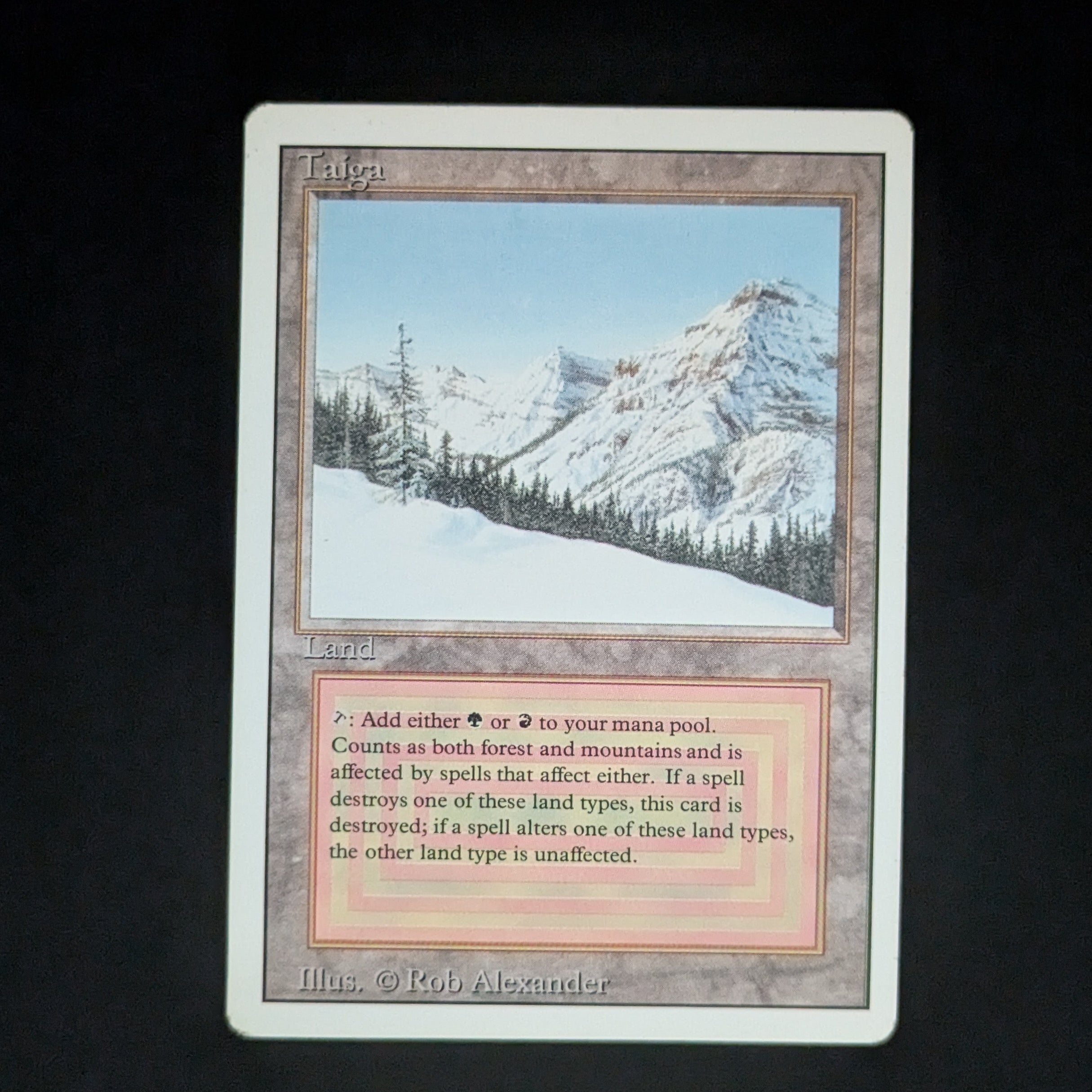 MTG Singles - Taiga - Revised - GD - 35764