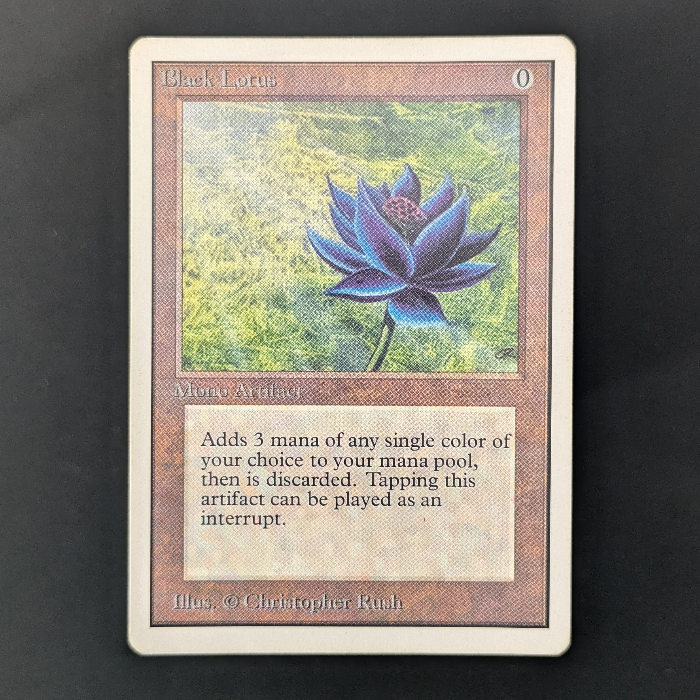 MTG Singles - Black Lotus - Unlimited - PL - 35927