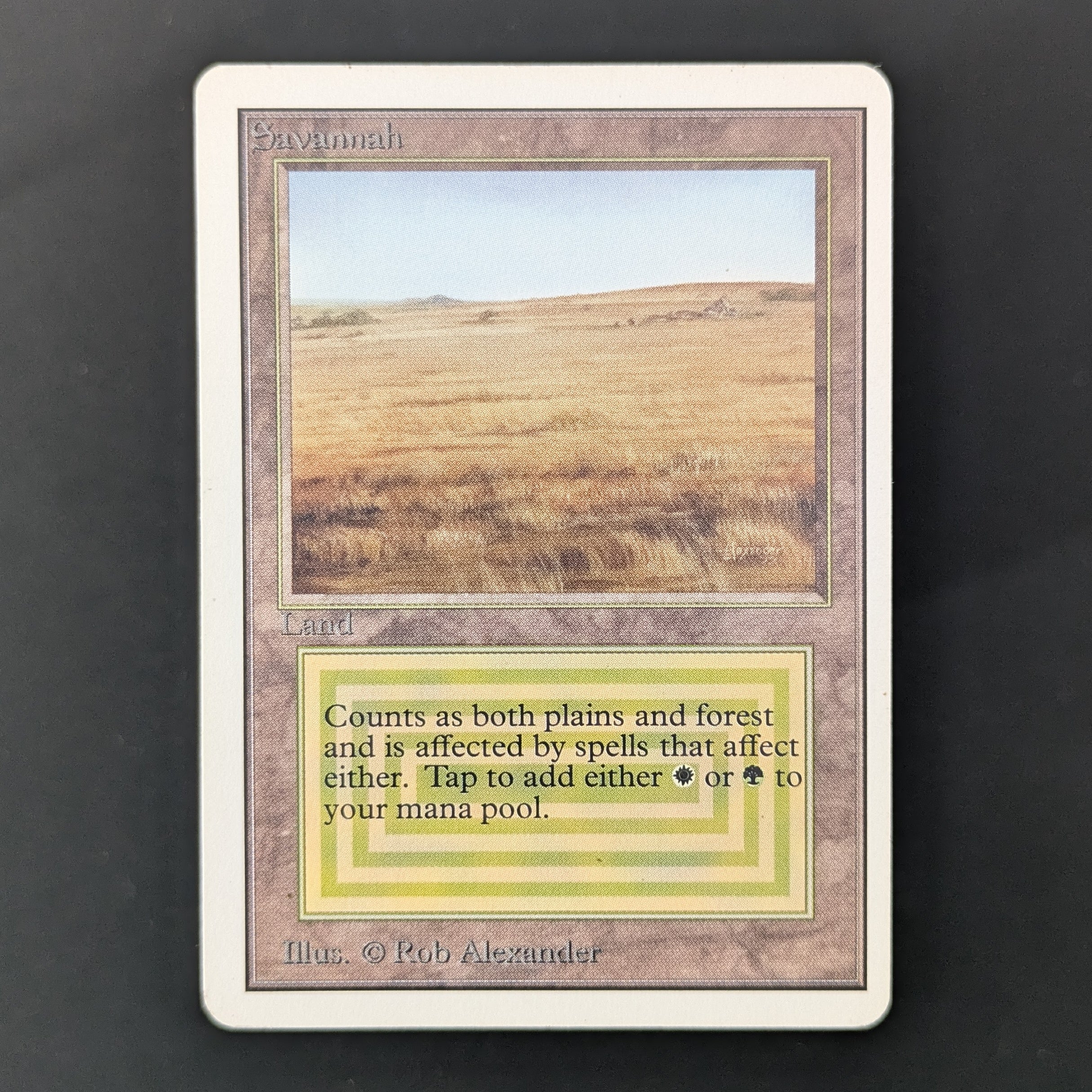 MTG Singles - Savannah - Unlimited - GD - 35949