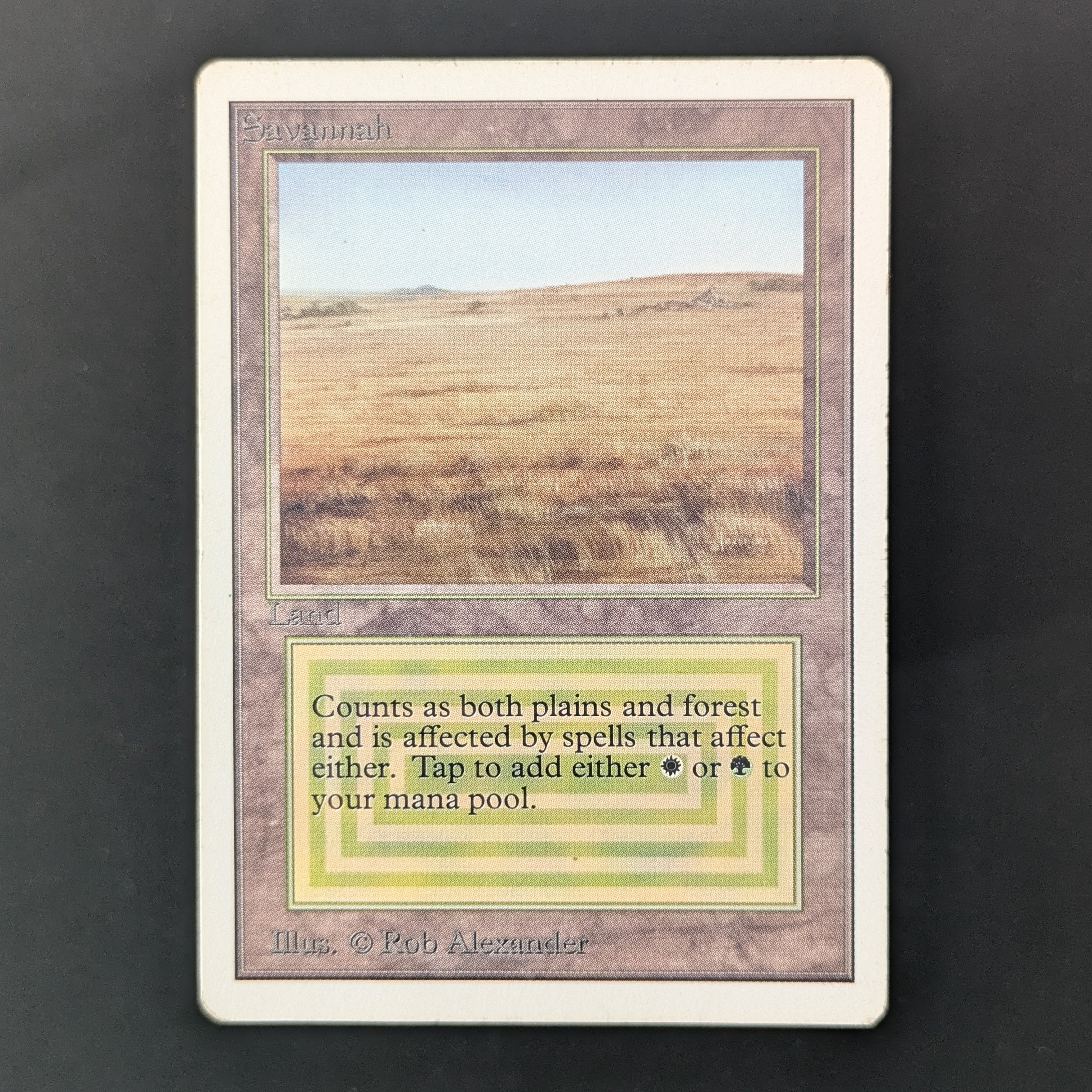 MTG Singles - Savannah - Unlimited - PL - 35951