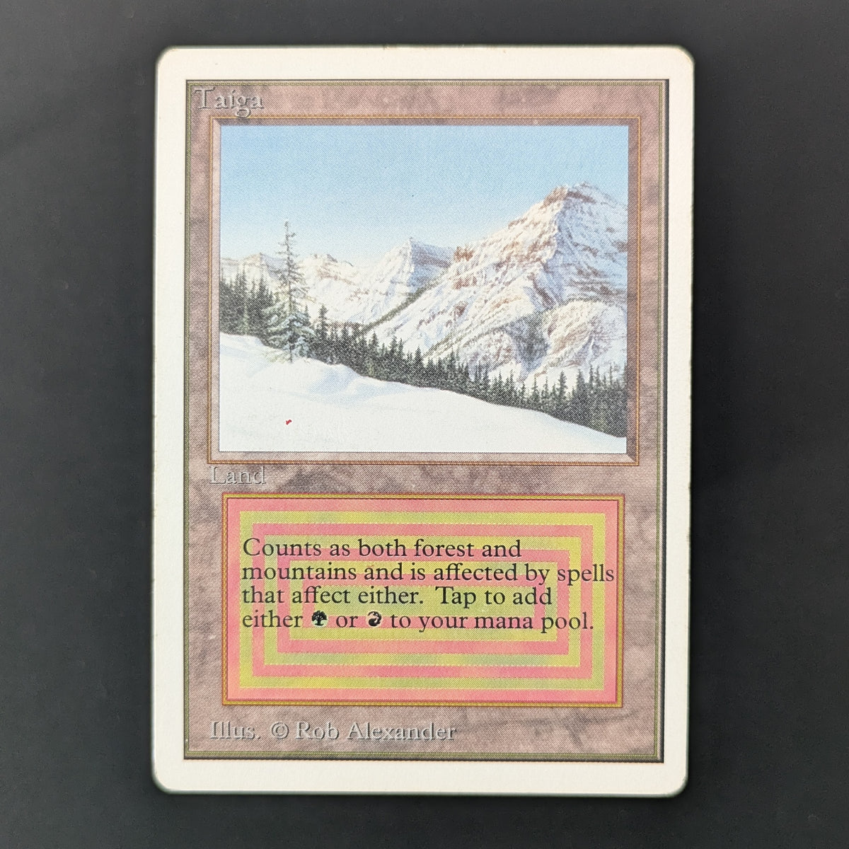 MTG Singles - Taiga - Unlimited - PL - 35960