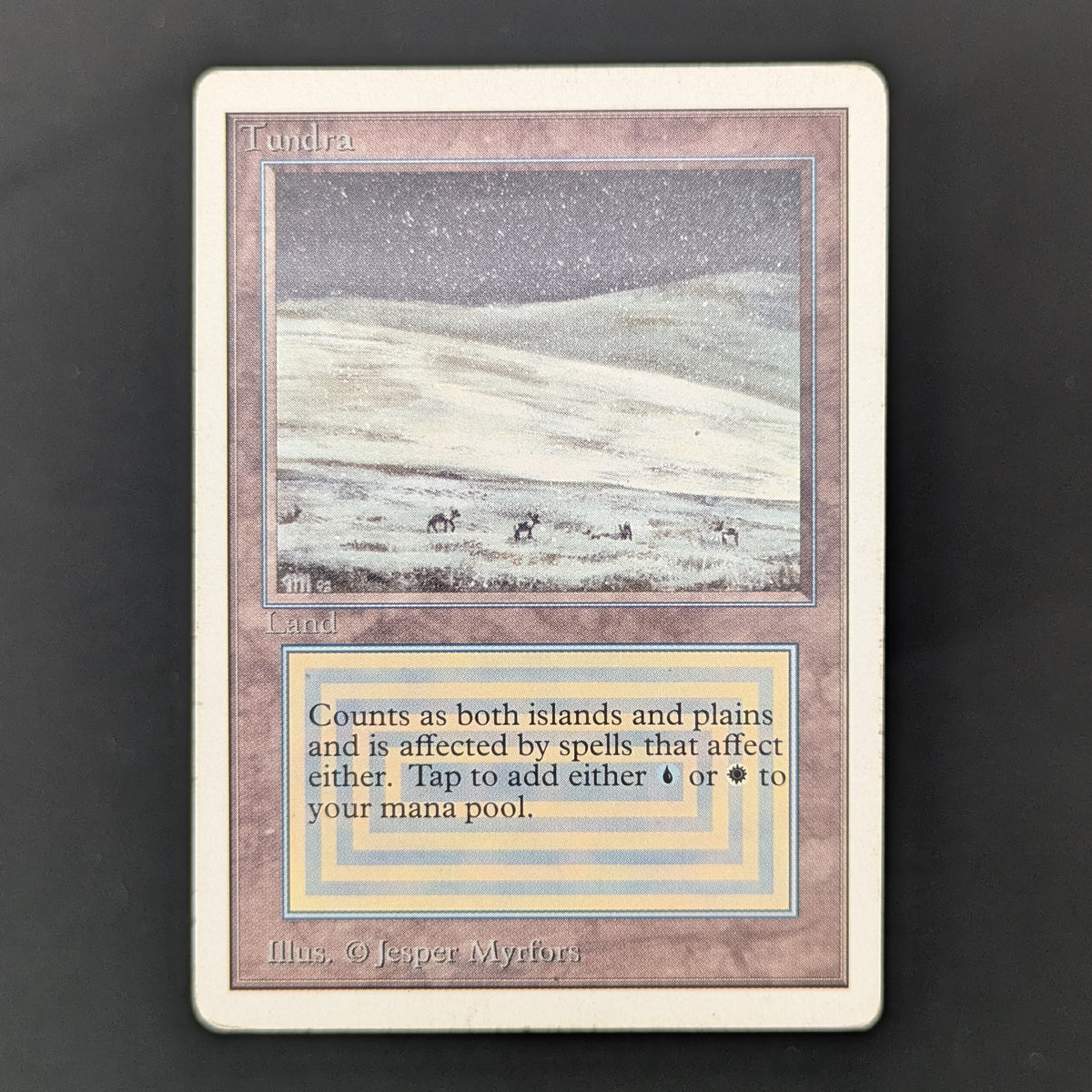 MTG Singles - Tundra - Unlimited - PL - 35968