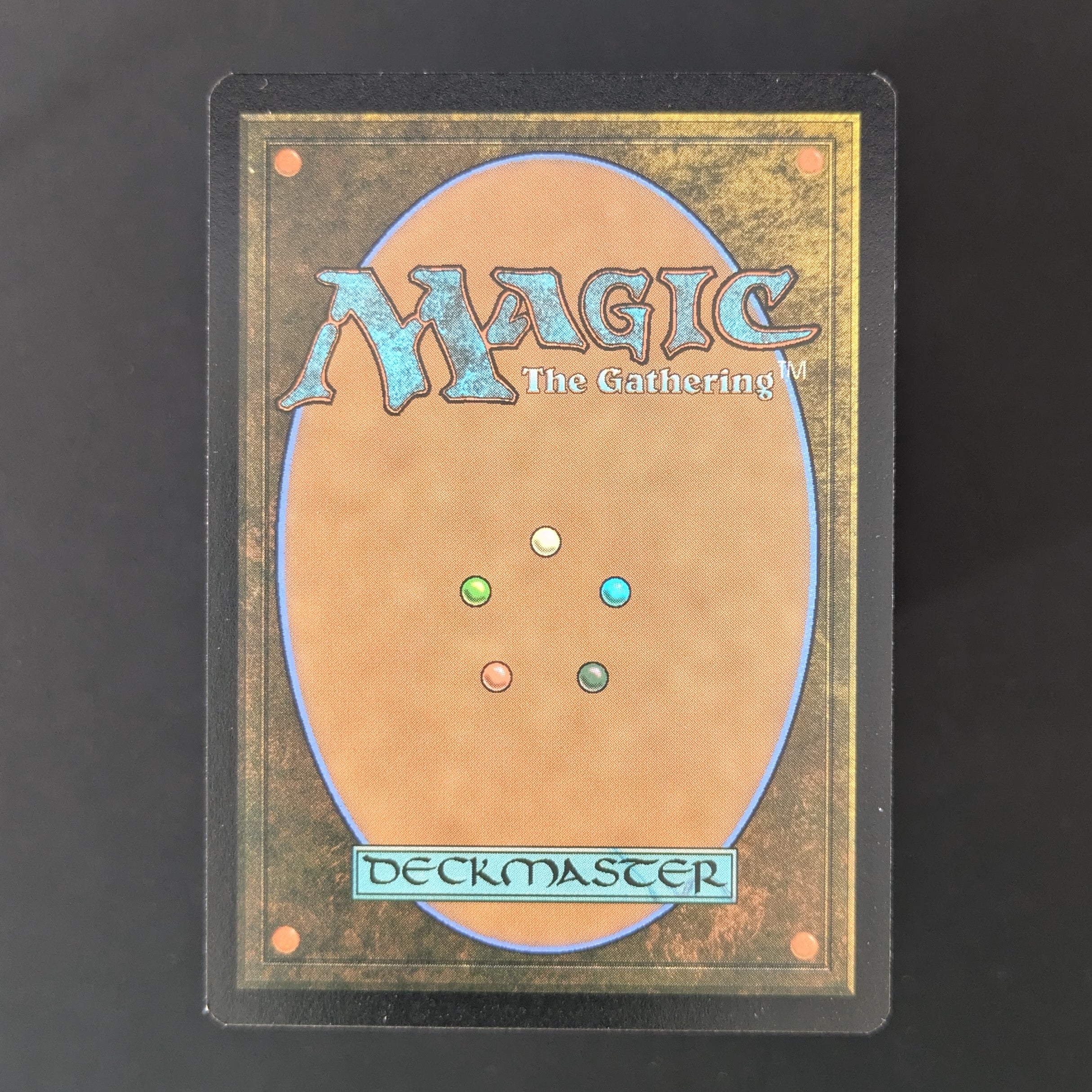 MTG Singles - Tom Bombadil (Borderless Poster) - The Lord of the Rings: Tales of Middle-earth Holiday Release - English - NM -