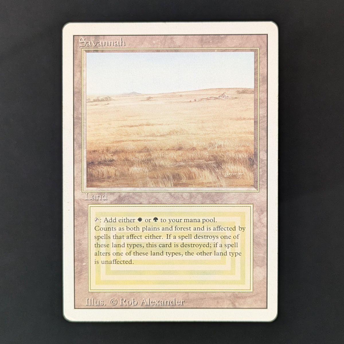 MTG Singles - Savannah - Revised - LP - 36219