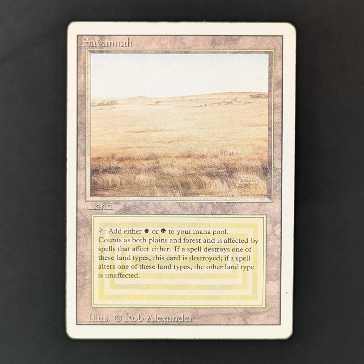 MTG Singles - Savannah - Revised - PL - 36223