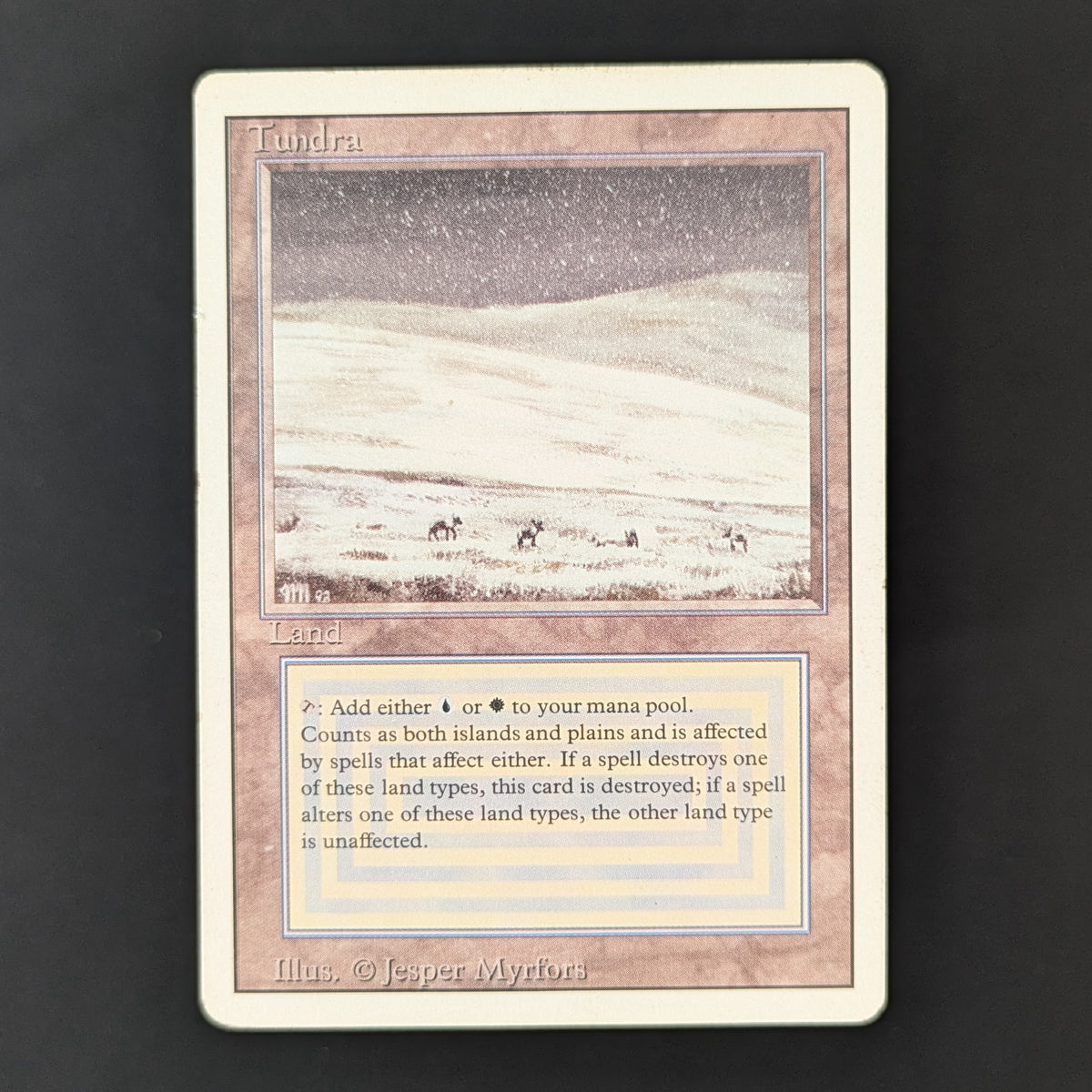 MTG Singles - Tundra - Revised - PL - 36260