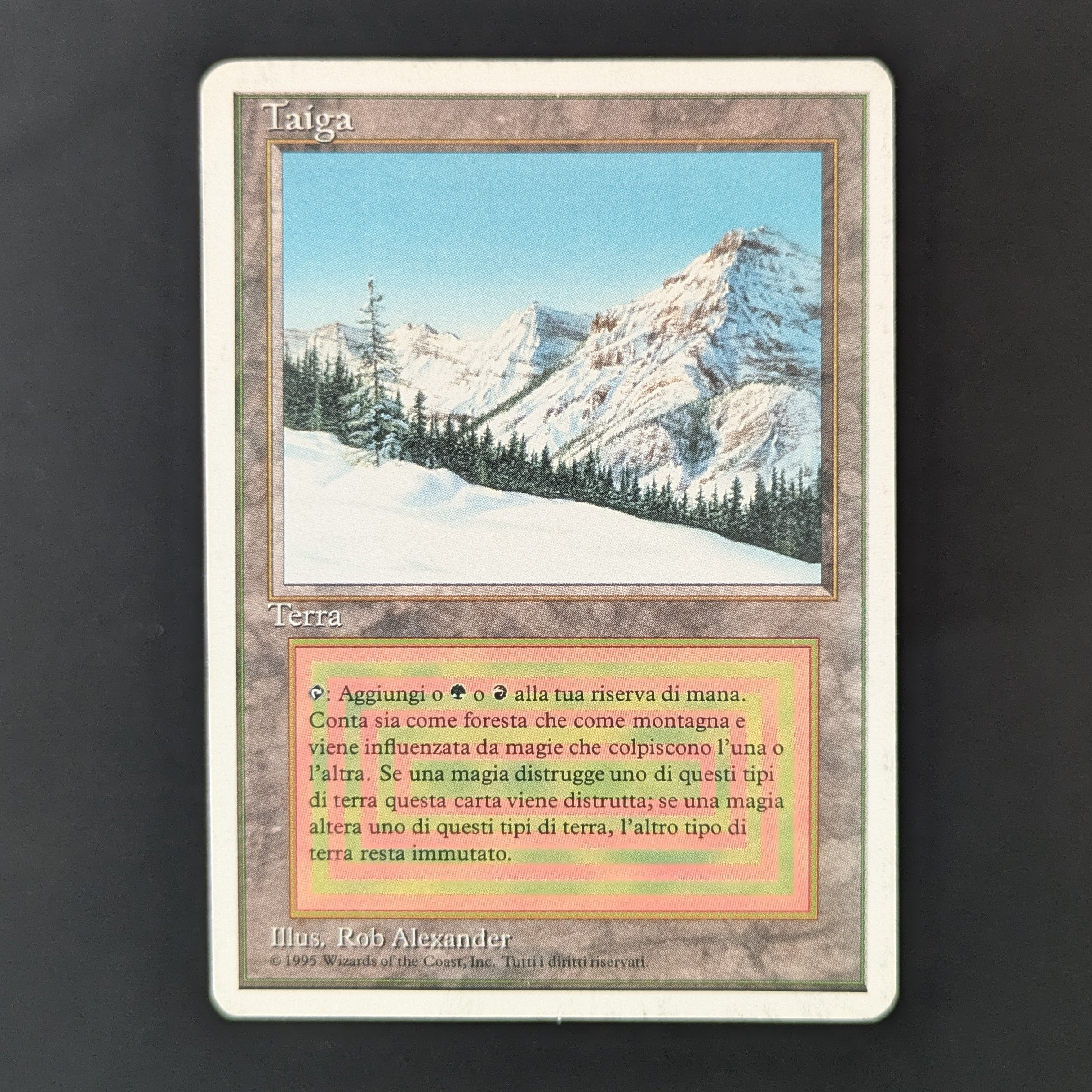 Taiga - Foreign White Bordered