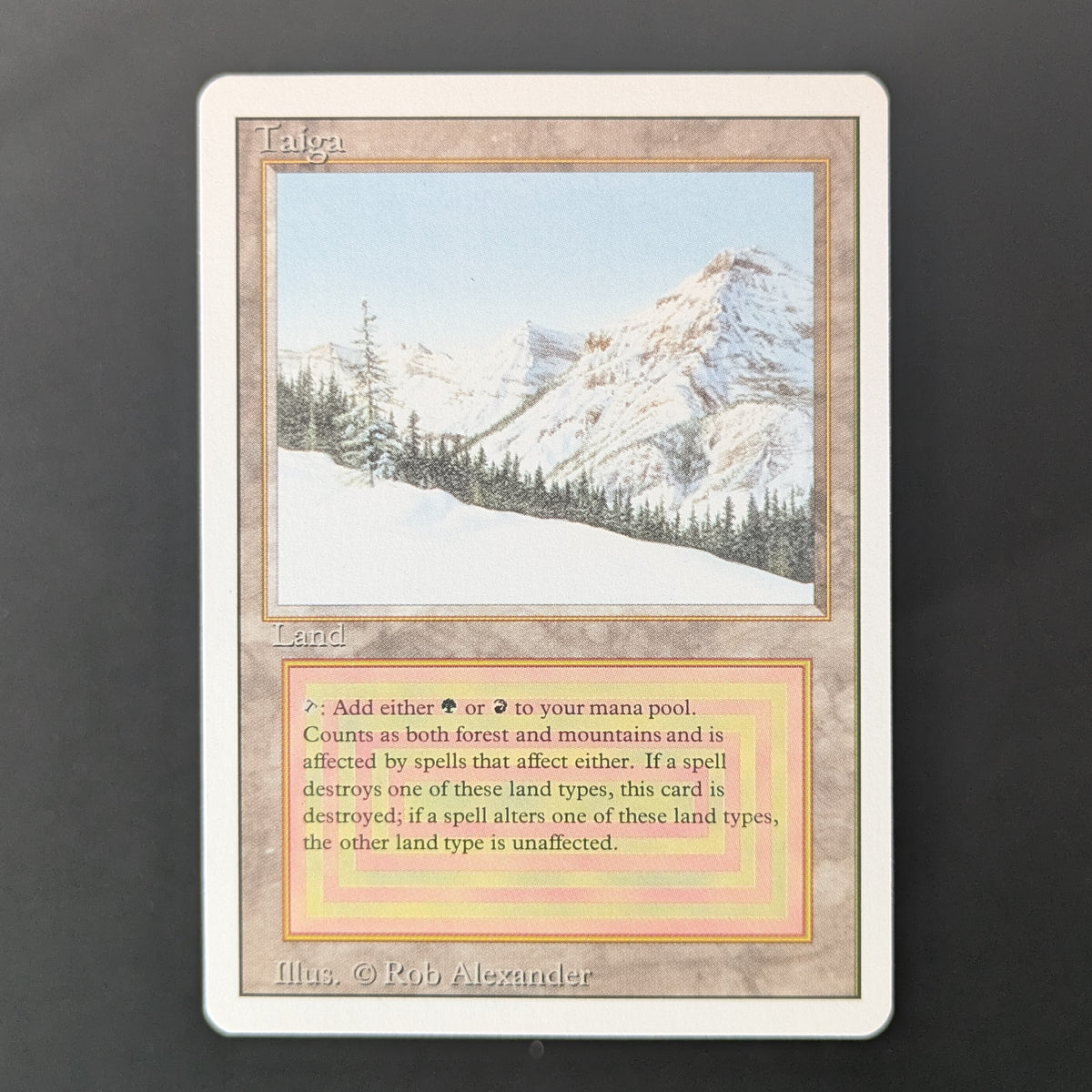 MTG Singles - Taiga - Revised - NM - 36499