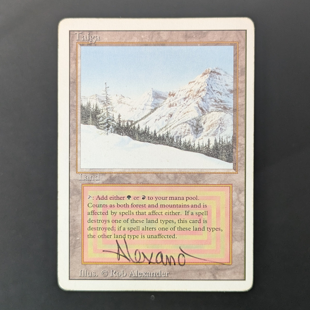 MTG Singles - Taiga - Revised - PL - SIGNED - 36501