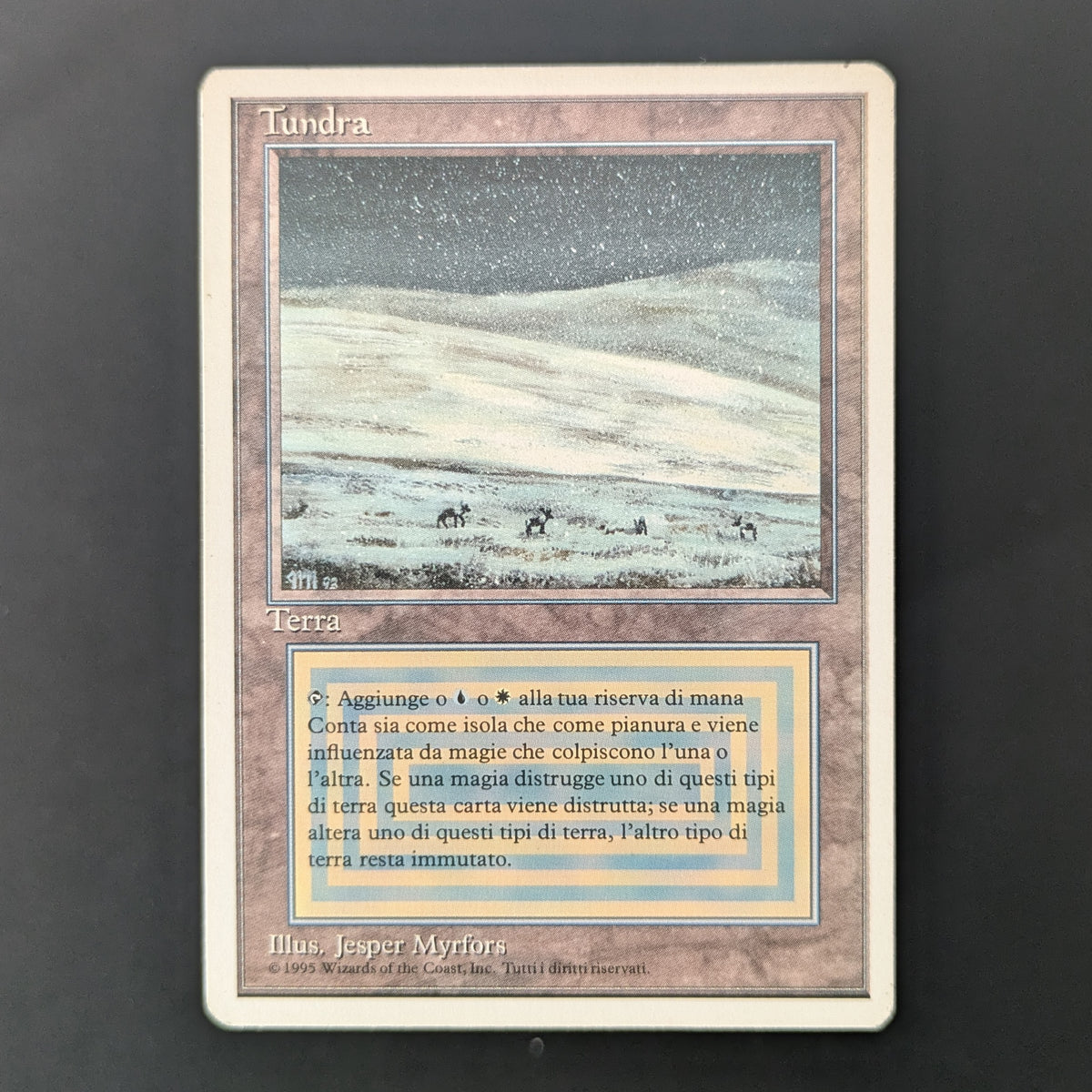 MTG Singles - Tundra - Foreign White Bordered - Italian - LP - 36511
