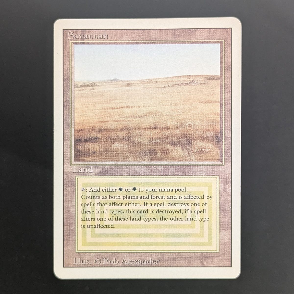 MTG Singles - Savannah - Revised - PL - 36677