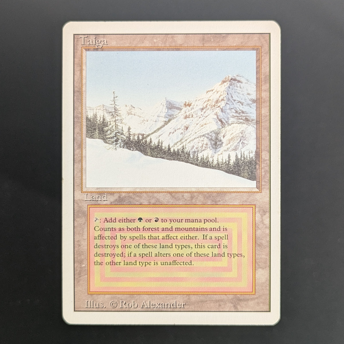 MTG Singles - Taiga - Revised - GD - 36680