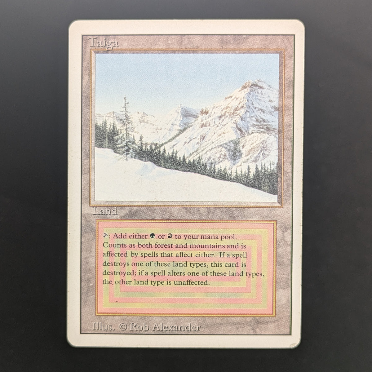 MTG Singles - Taiga - Revised - PL - 36924
