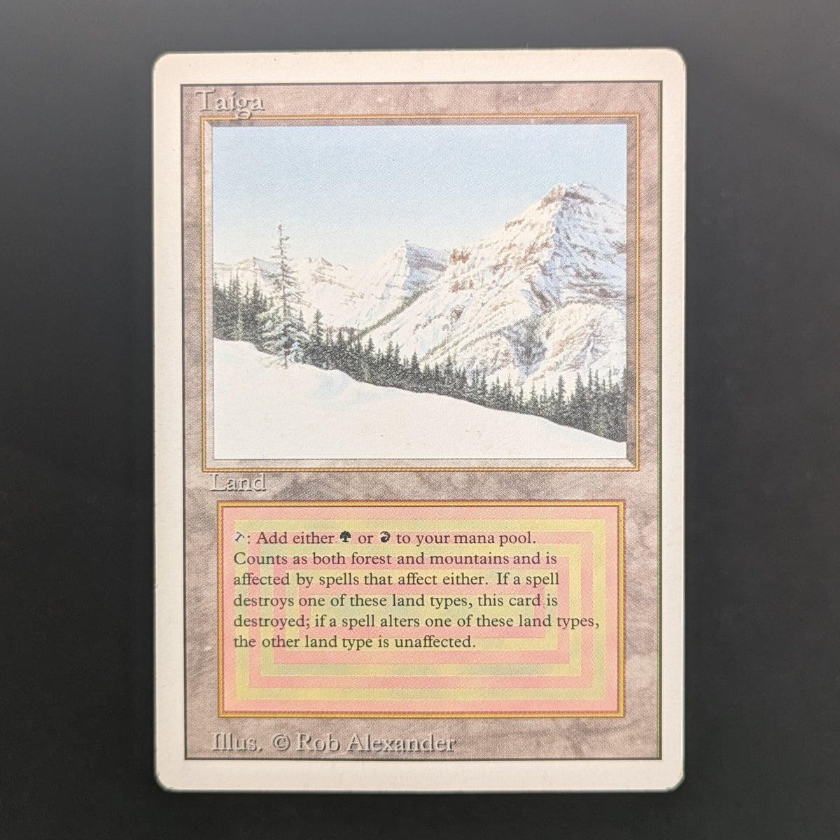 MTG Singles - Taiga - Revised - PL - 36925