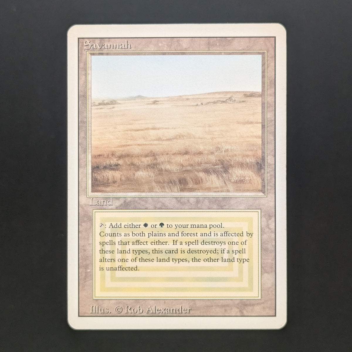 MTG Singles - Savannah - Revised - LP - 37052