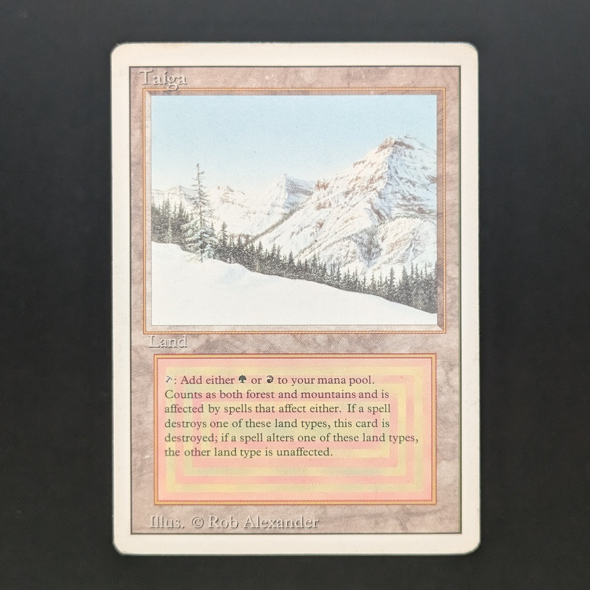 MTG Singles - Taiga - Revised - PL - 37054