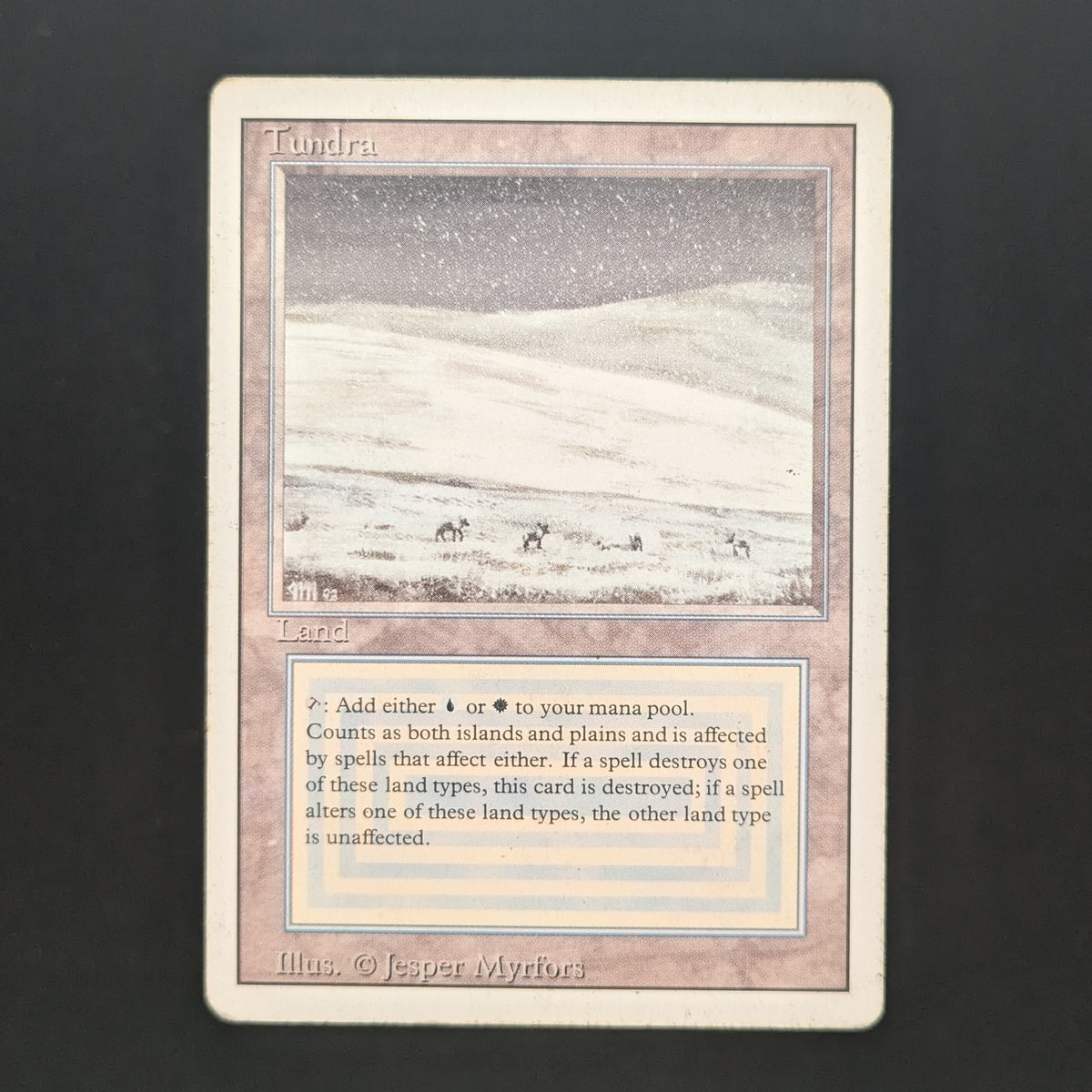 MTG Singles - Tundra - Revised - PO - 37057