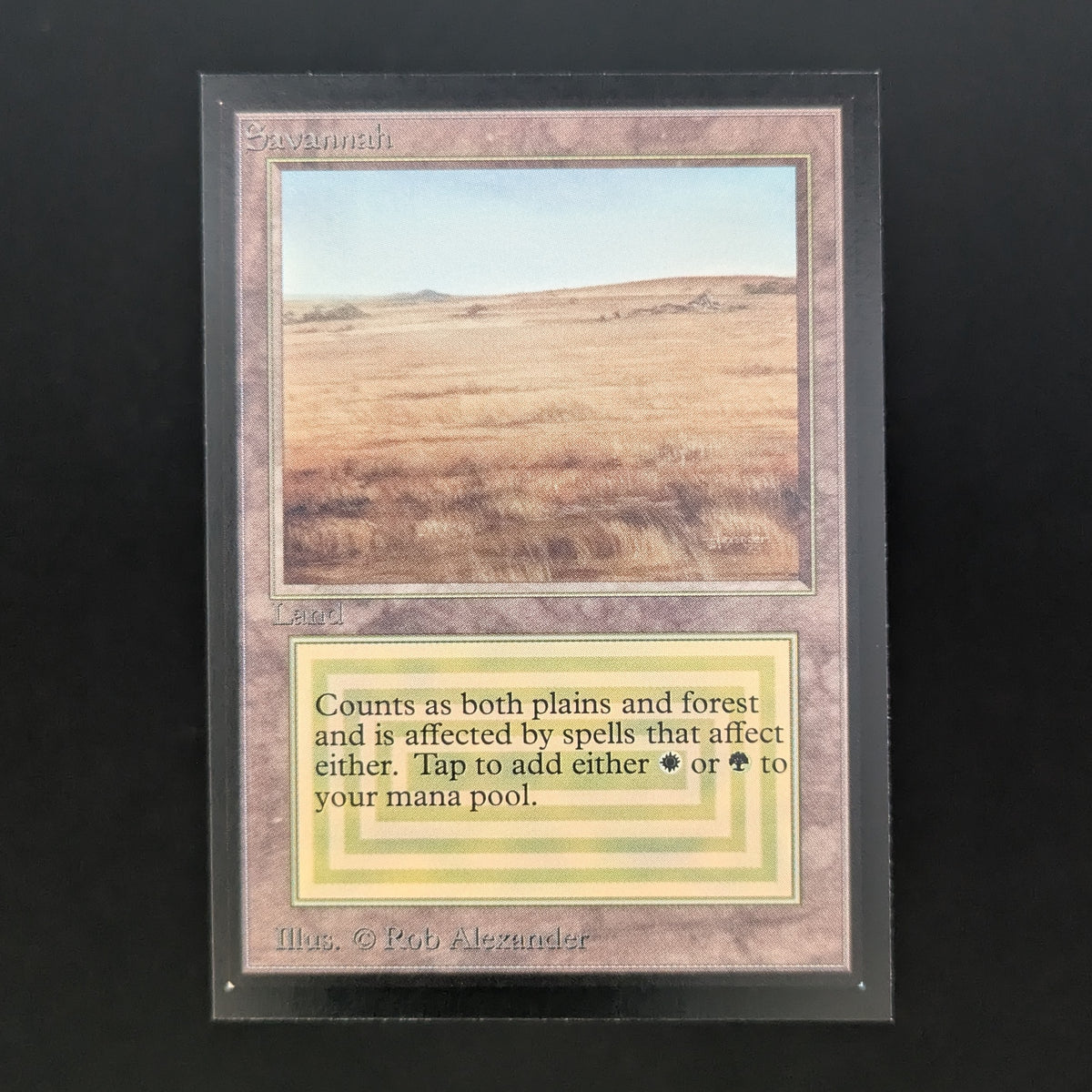 MTG Singles - Savannah - Collectors' Edition -