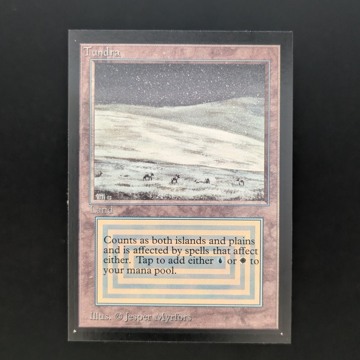 MTG Singles - Tundra - Collectors' Edition -