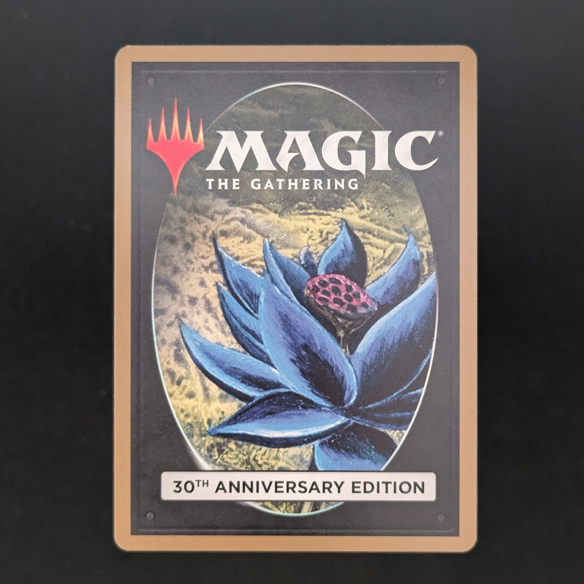 MTG Singles - Plateau (Modern Frame) - 30th Anniversary Edition -