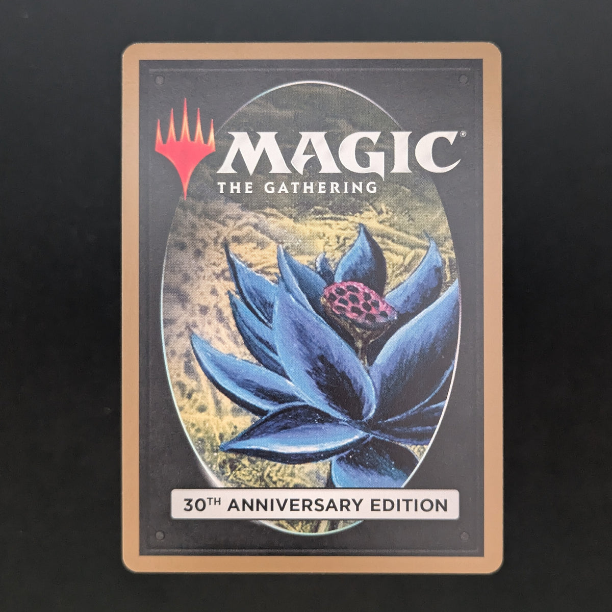 MTG Singles - Scrubland (Modern Frame) - 30th Anniversary Edition -