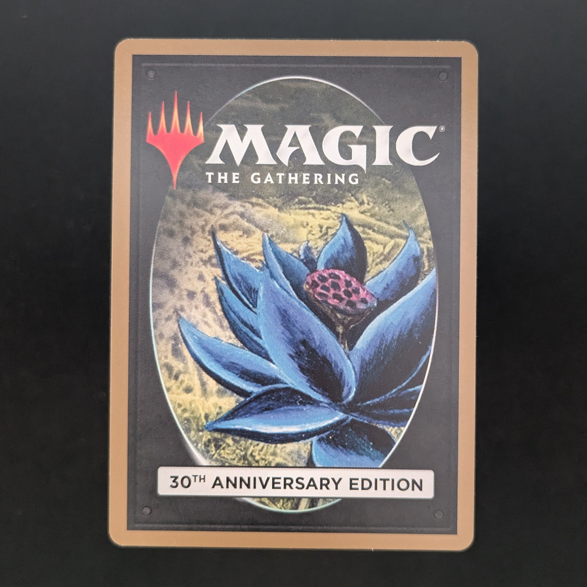 MTG Singles - Tundra (Modern Frame) - 30th Anniversary Edition -