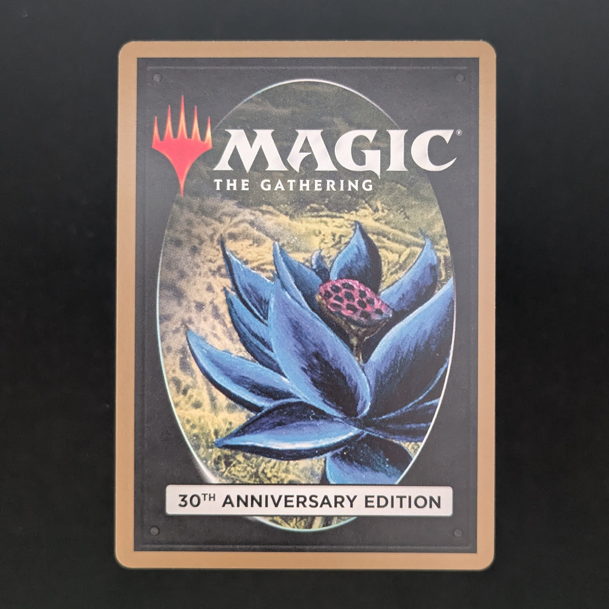 MTG Singles - Underground Sea (Modern Frame) - 30th Anniversary Edition -