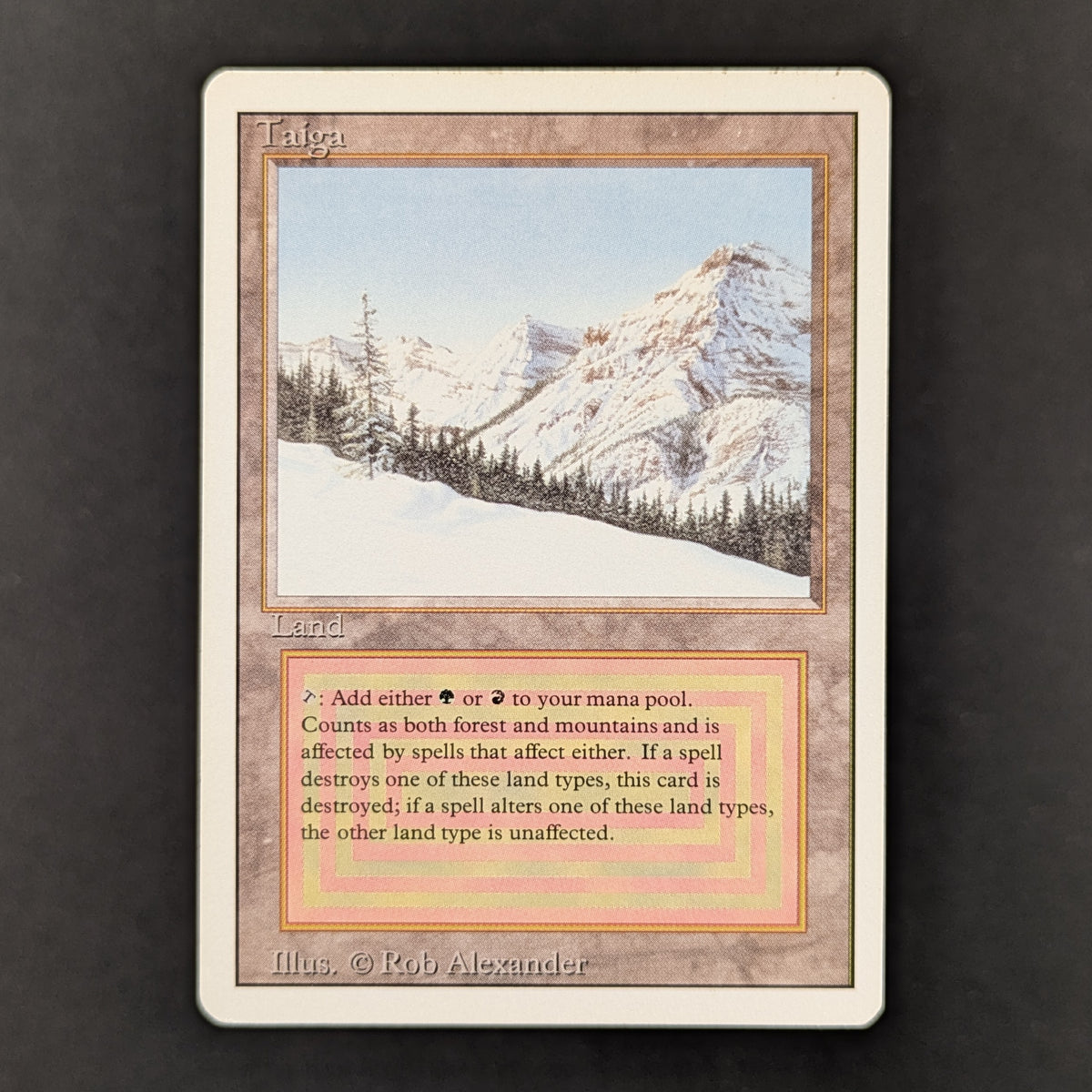 MTG Singles - Taiga - Revised -