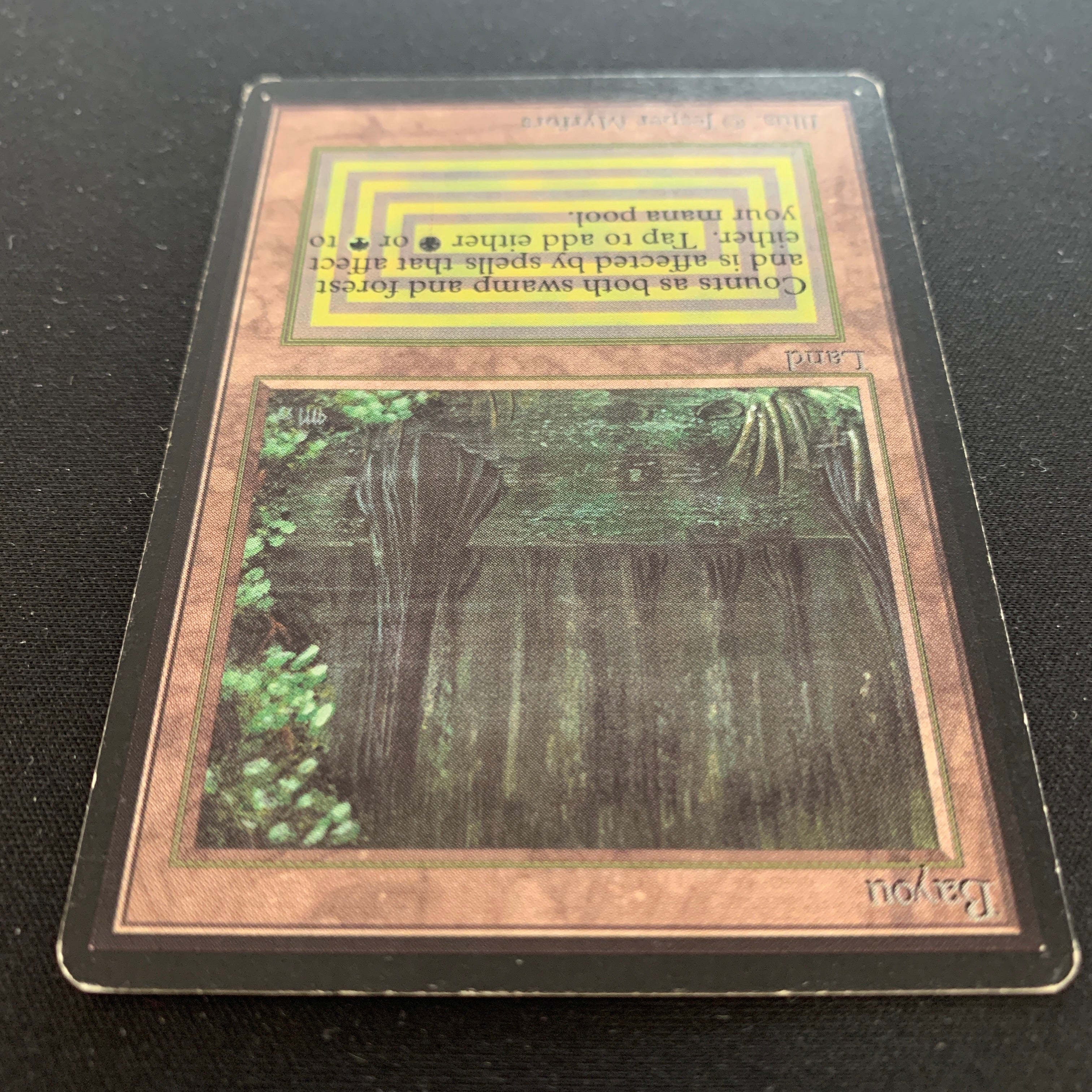 MTG Singles - Bayou - Beta -