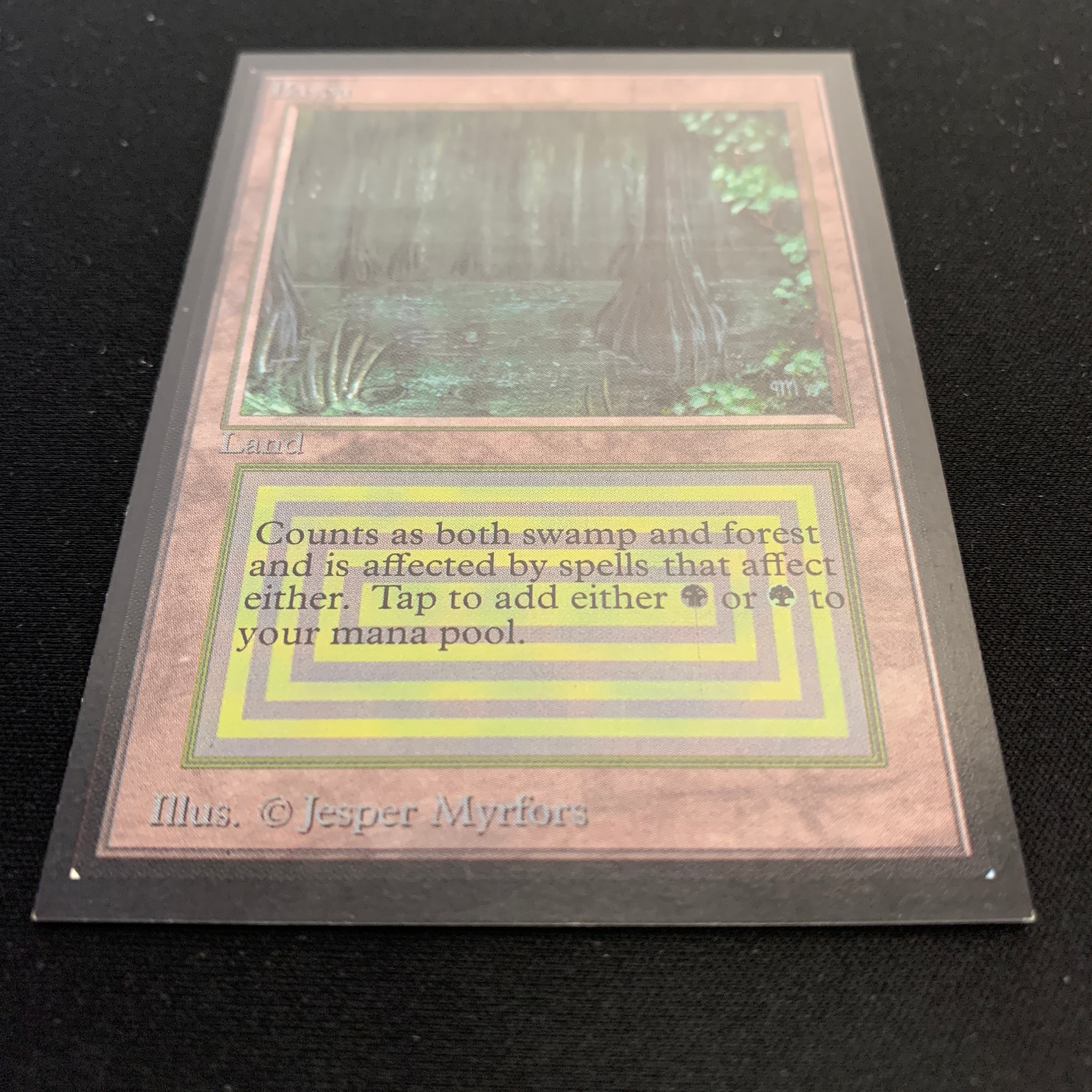 MTG Singles - Bayou - Collectors' Edition -