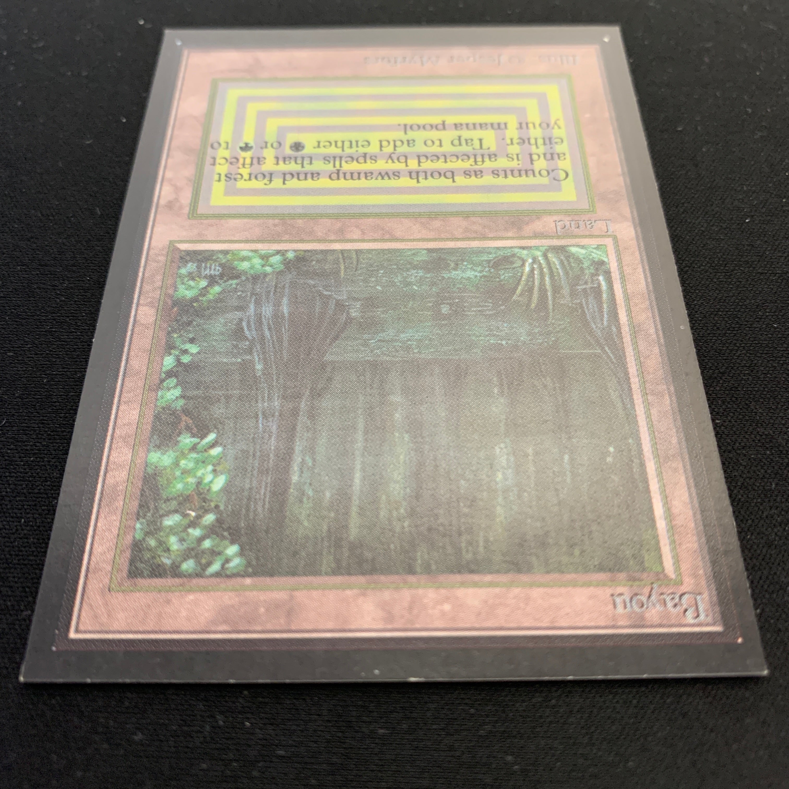 MTG Singles - Bayou - Collectors' Edition -