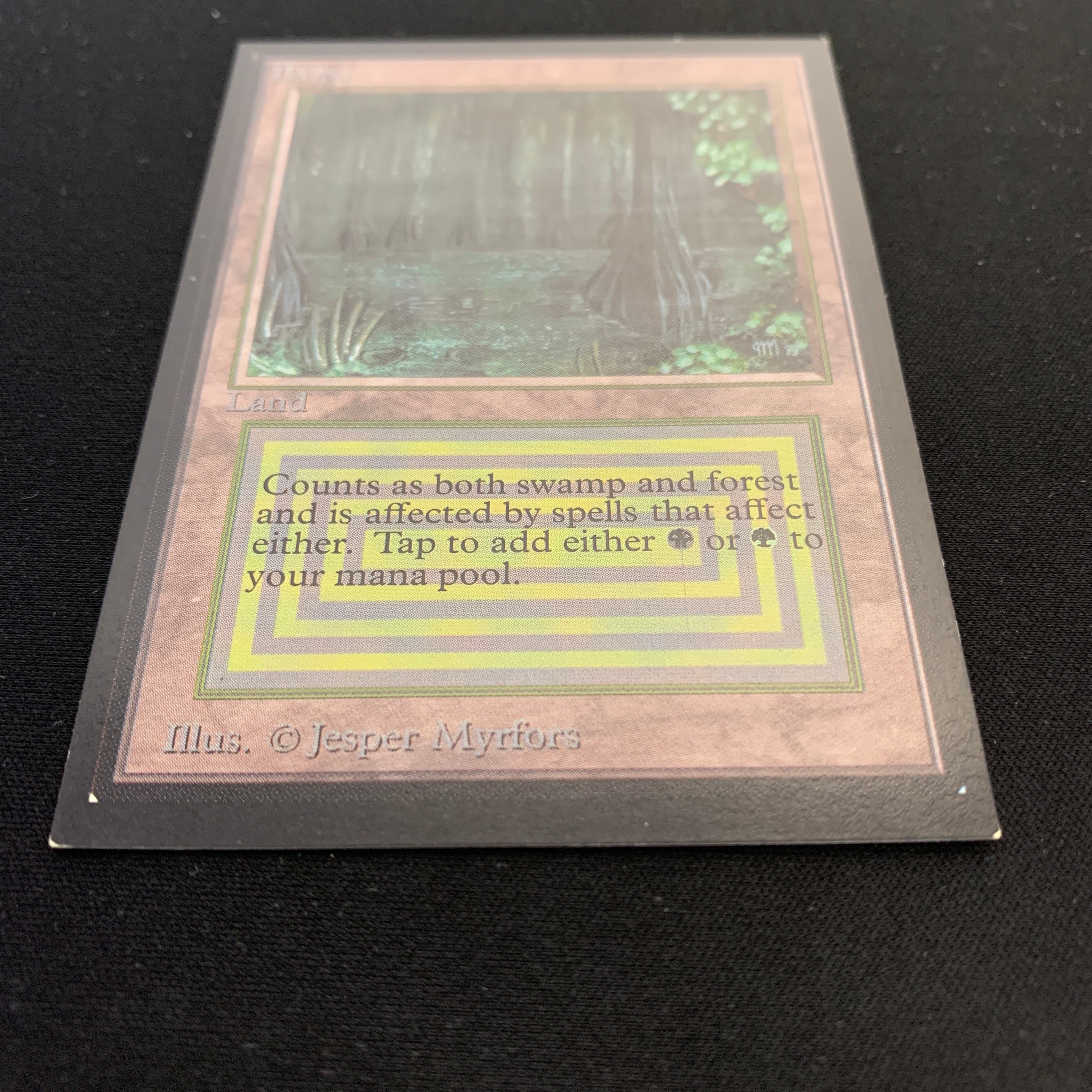 MTG Singles - Bayou - Collectors' Edition -