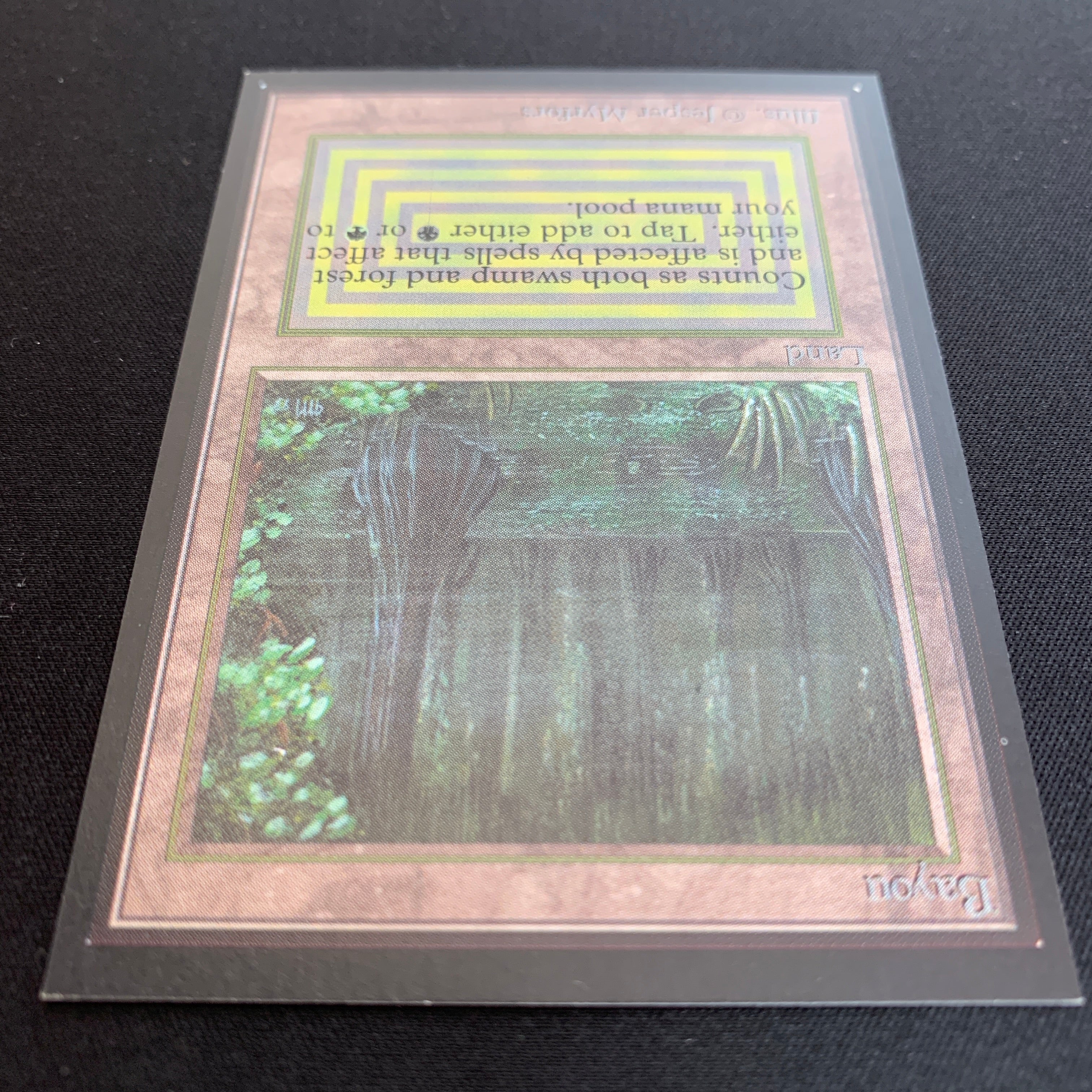 MTG Singles - Bayou - International Edition -