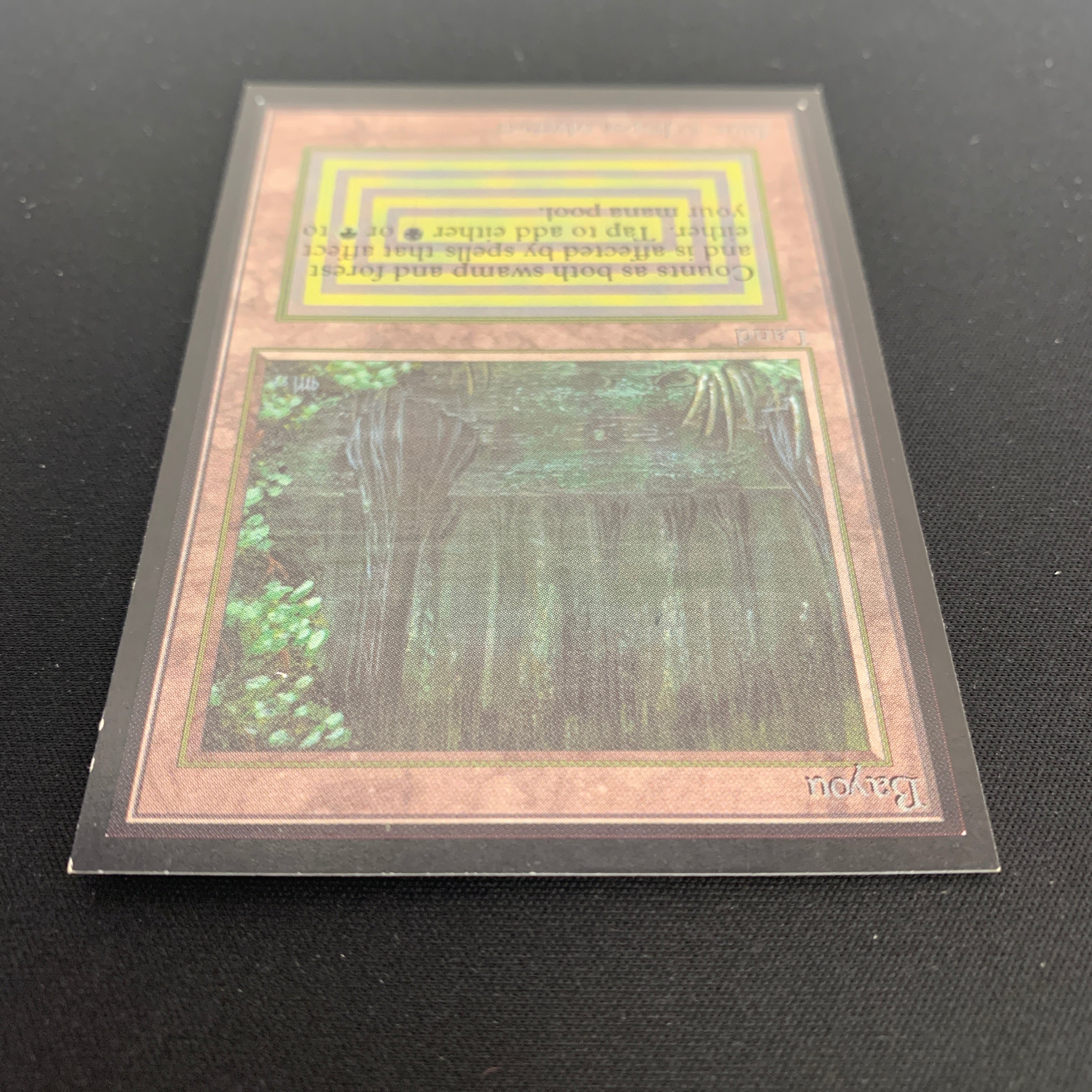 MTG Singles - Bayou - International Edition -