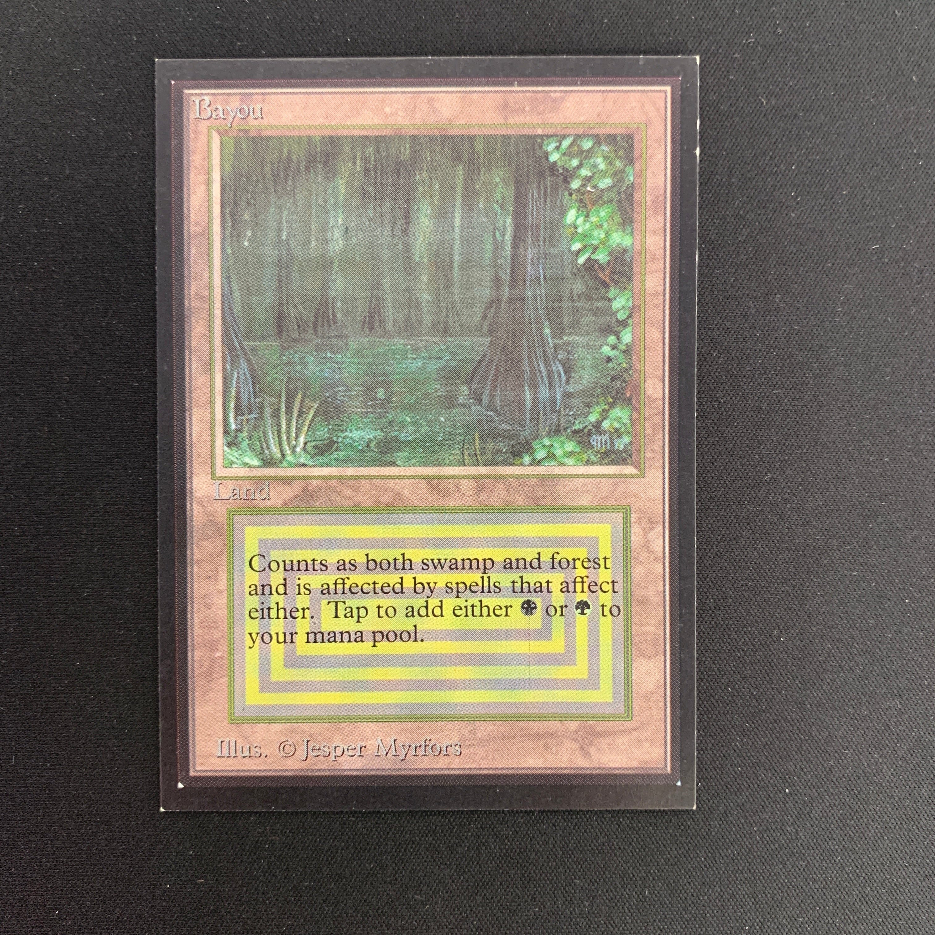 MTG Singles - Bayou - International Edition -