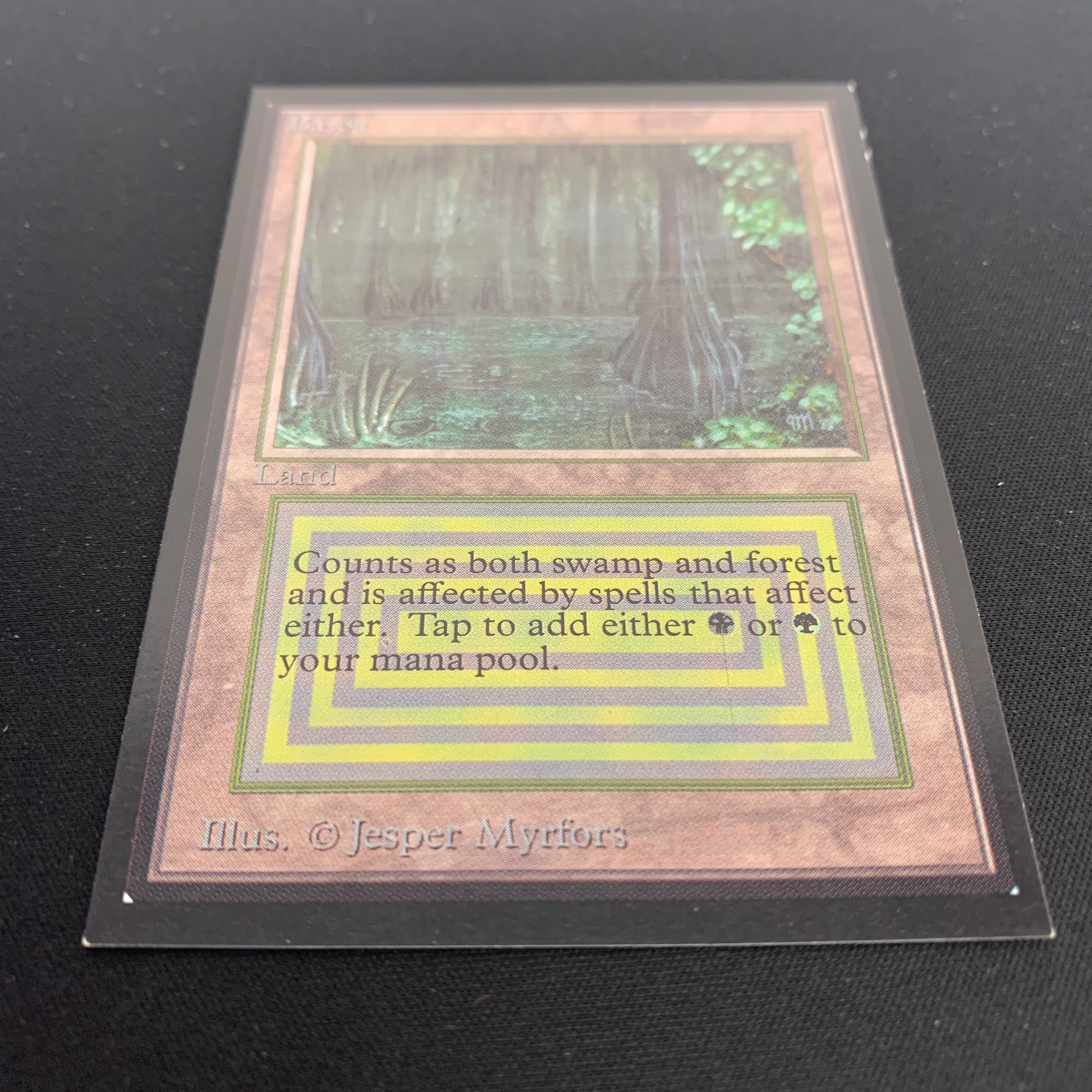 MTG Singles - Bayou - International Edition -