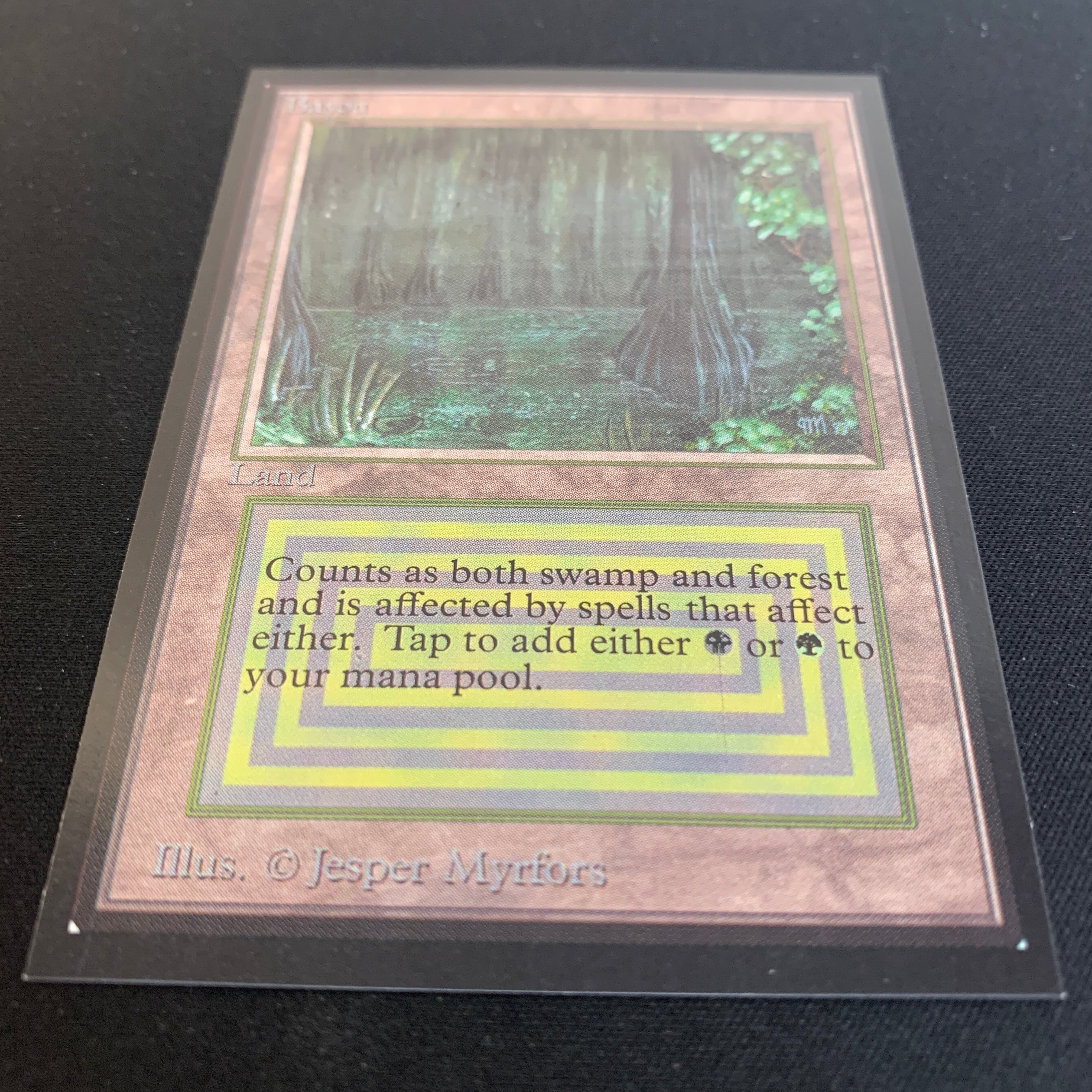 MTG Singles - Bayou - International Edition -
