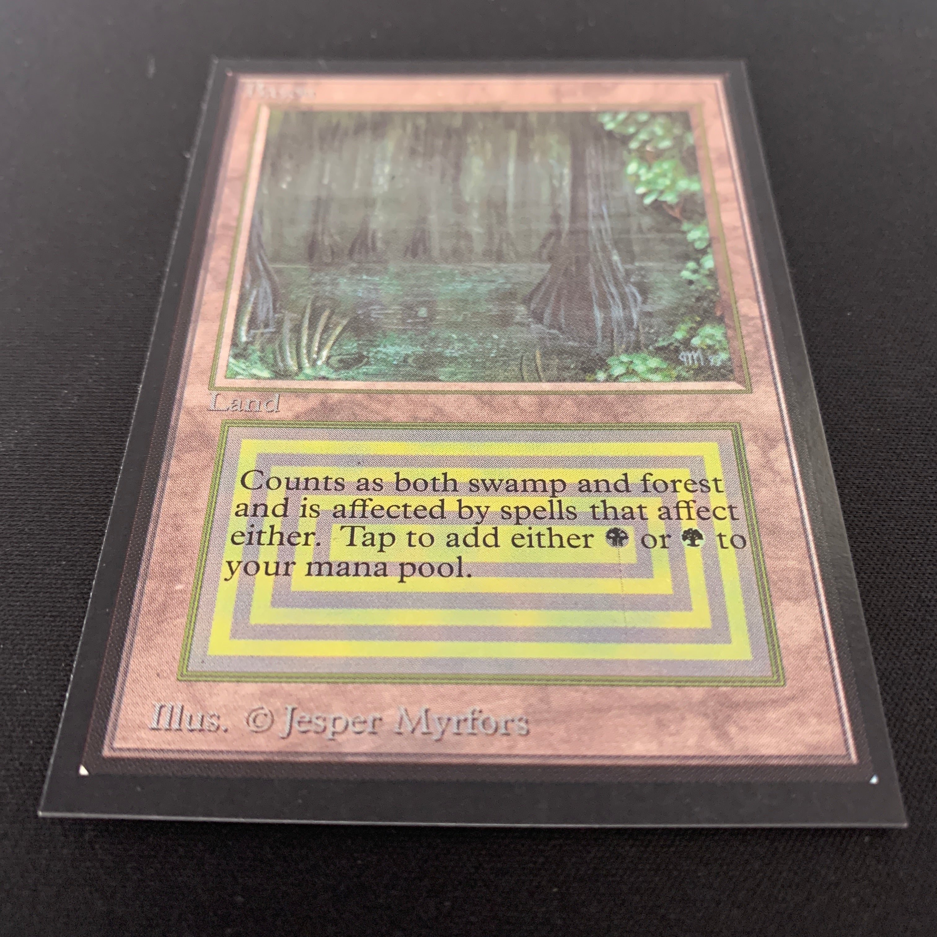 MTG Singles - Bayou - International Edition -