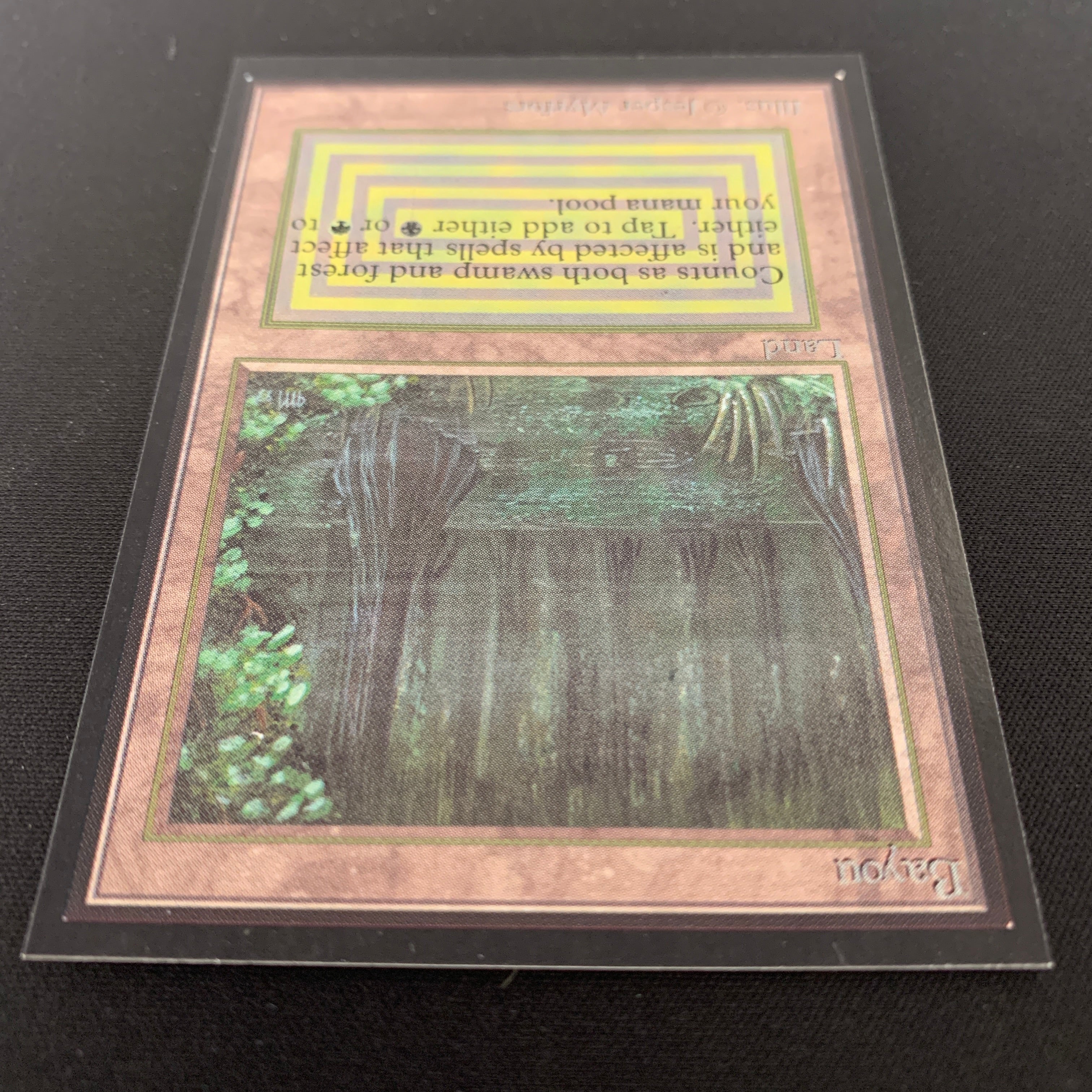 MTG Singles - Bayou - International Edition -