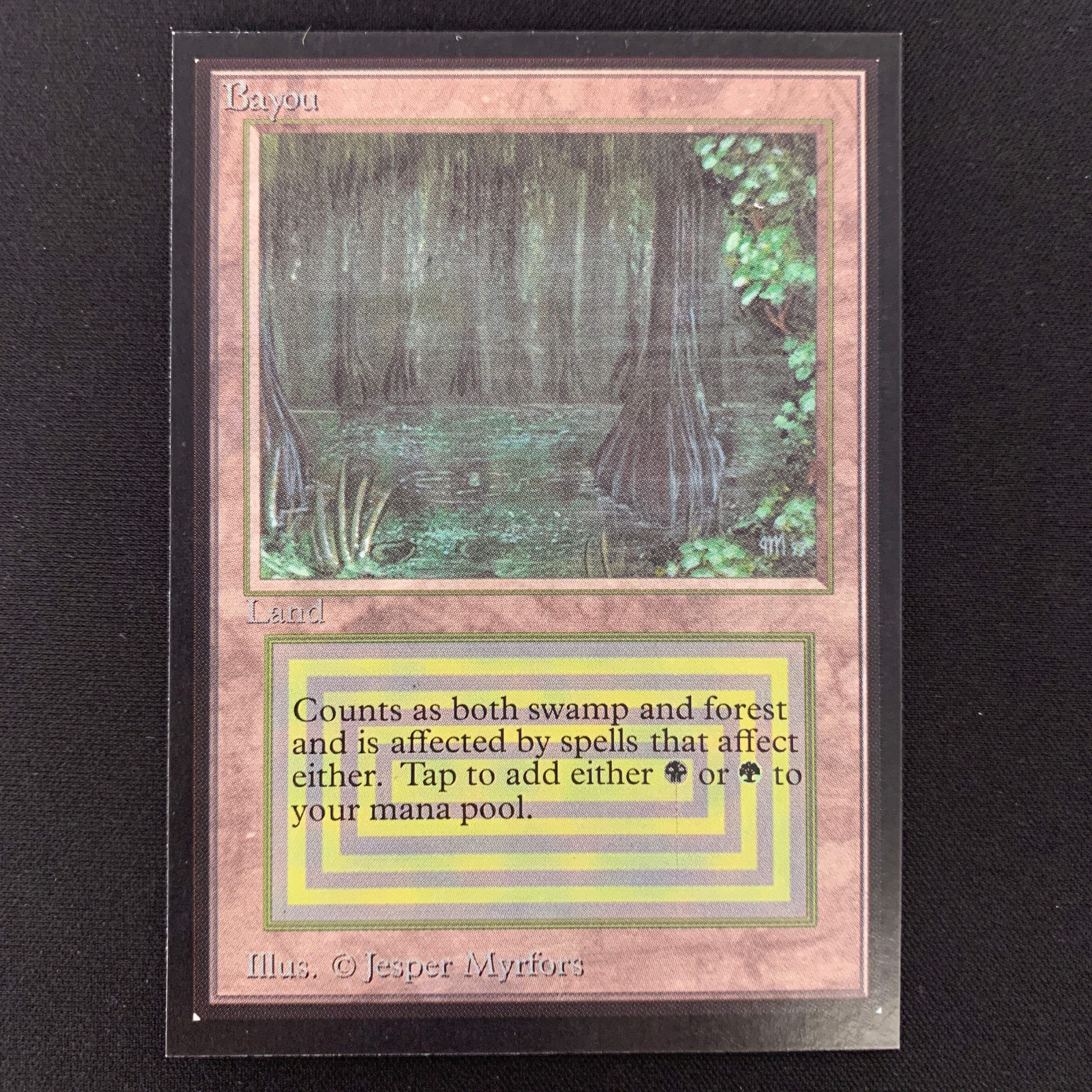 MTG Singles - Bayou - International Edition -
