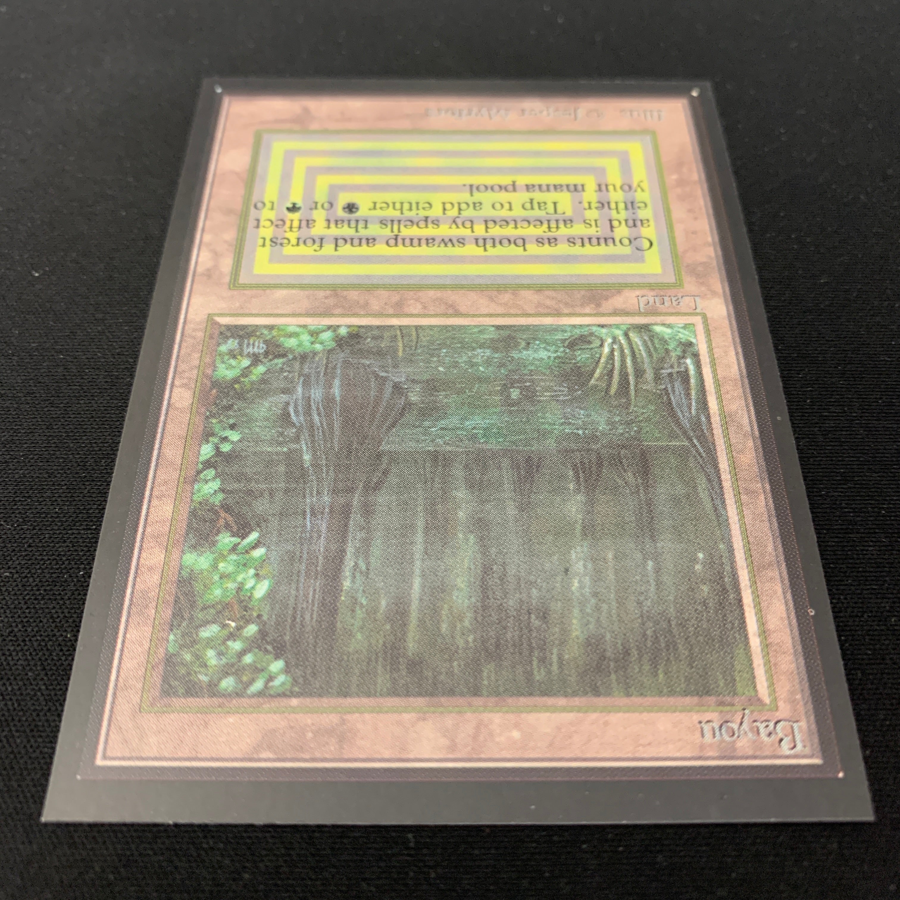 MTG Singles - Bayou - International Edition -