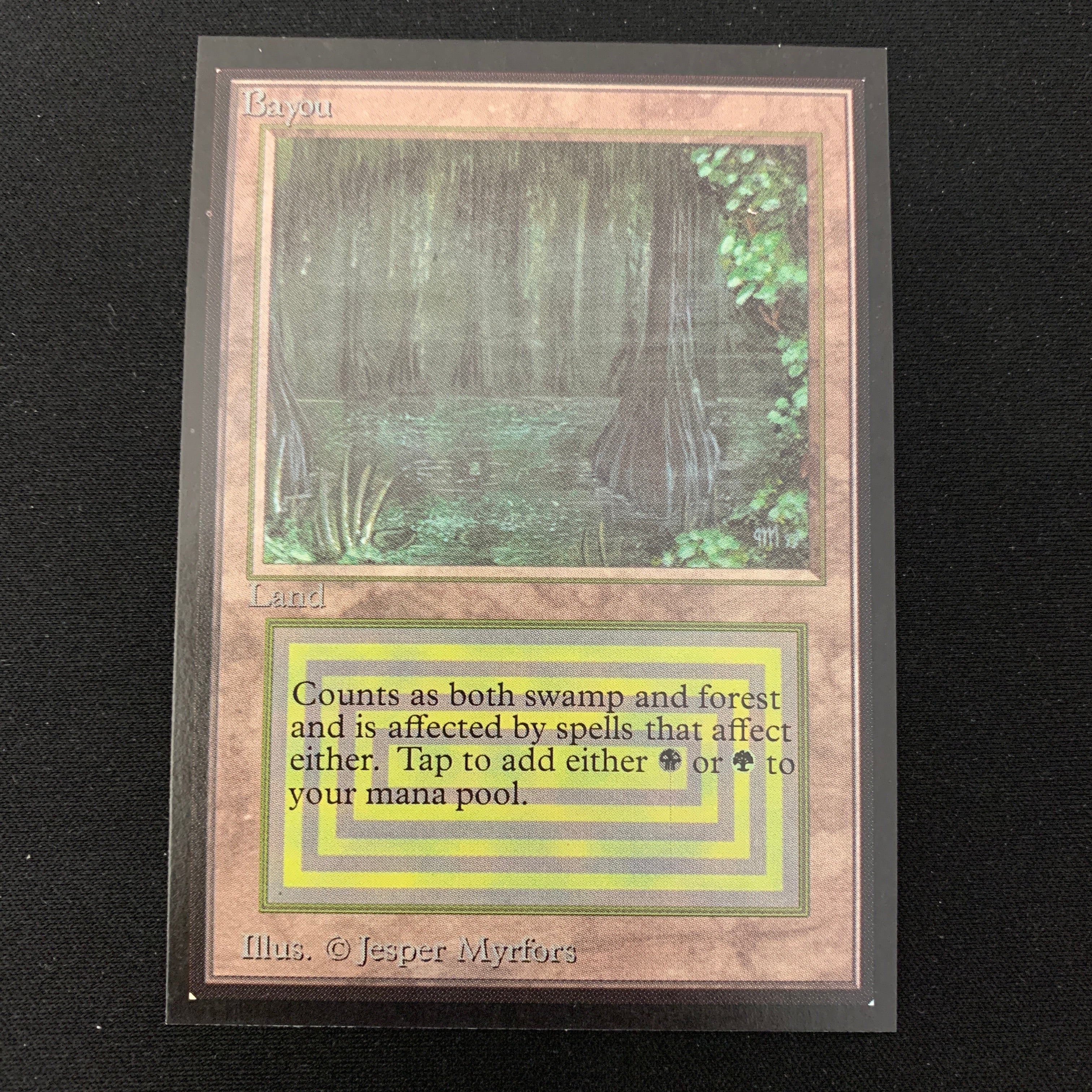 MTG Singles - Bayou - International Edition -