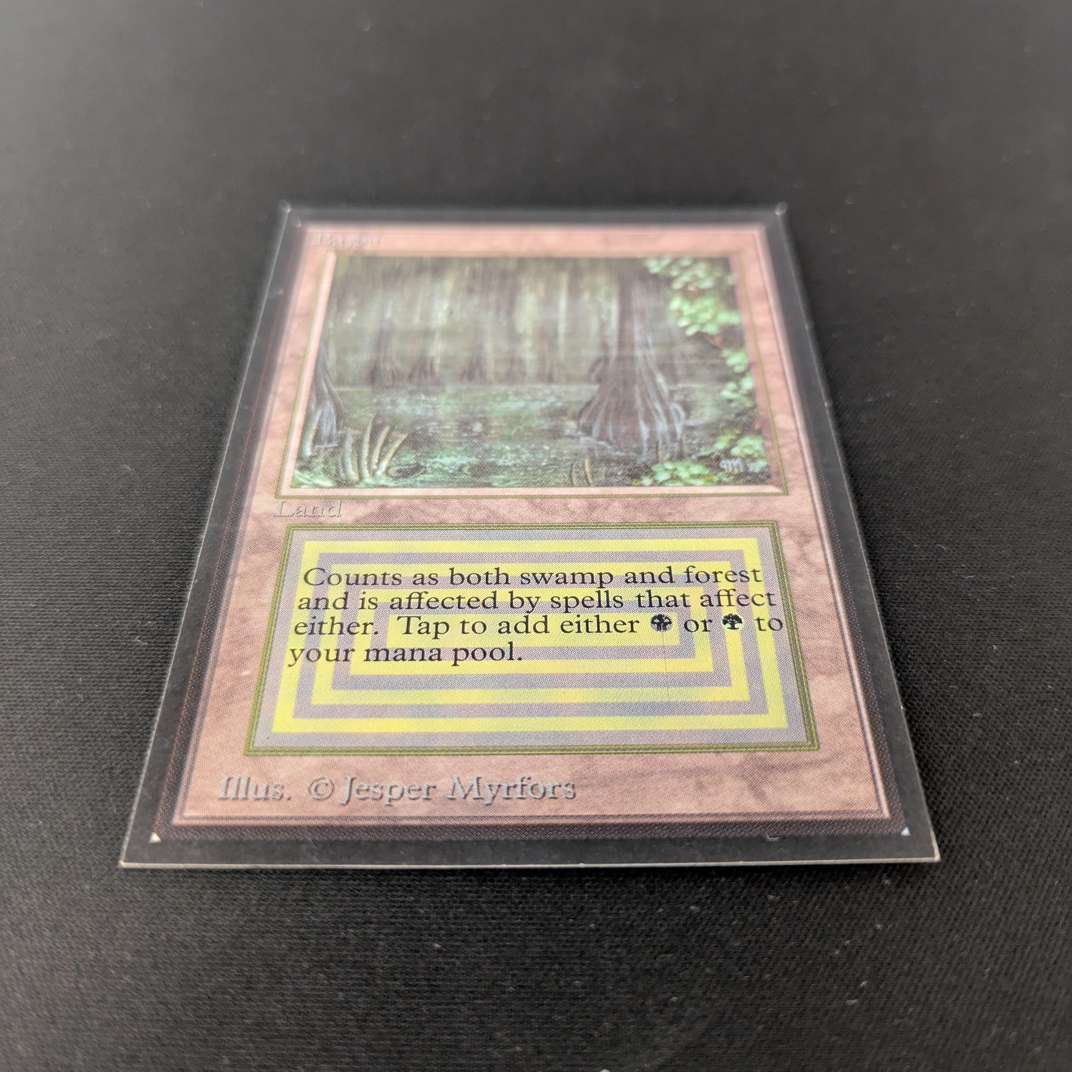 MTG Singles - Bayou - International Edition -