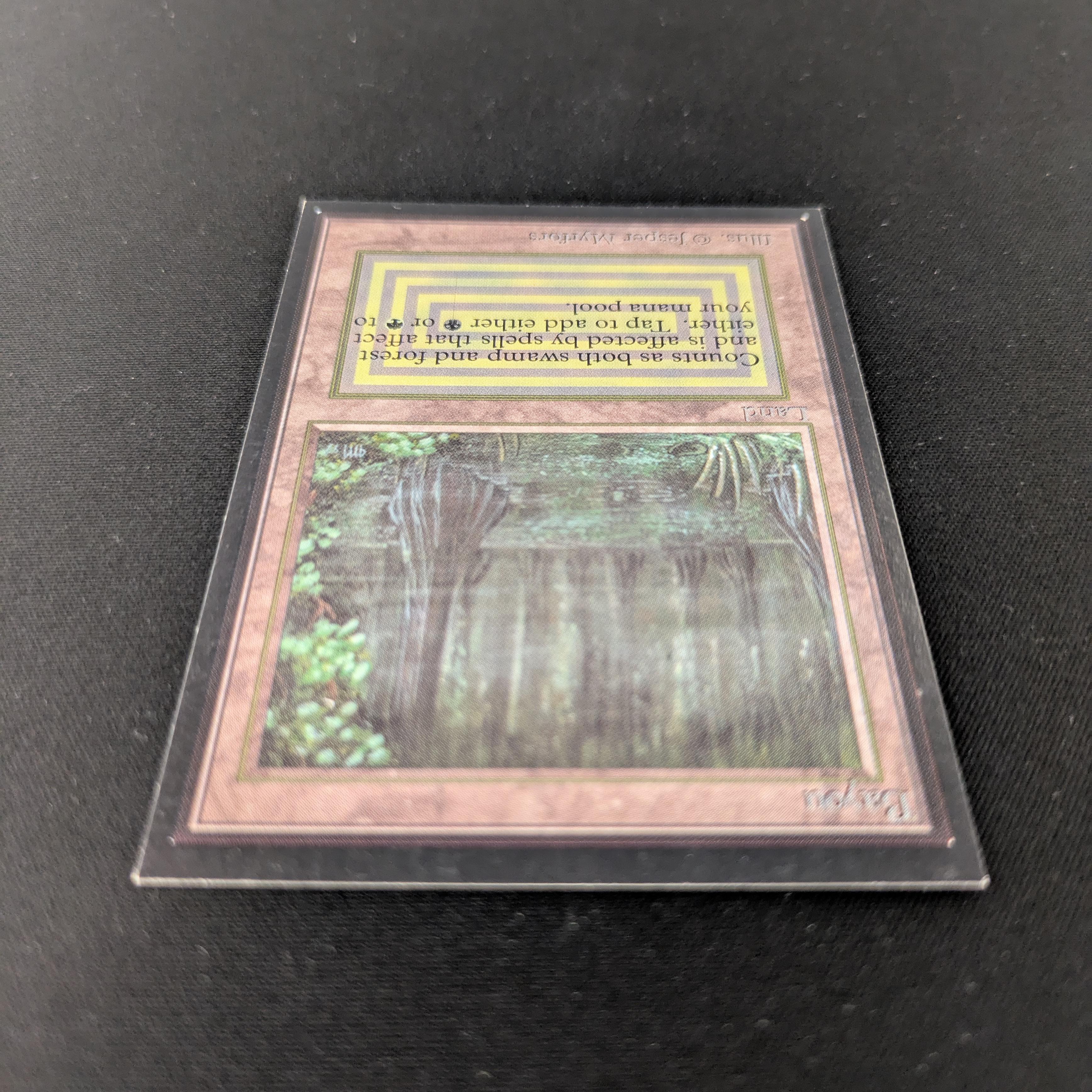 MTG Singles - Bayou - International Edition -