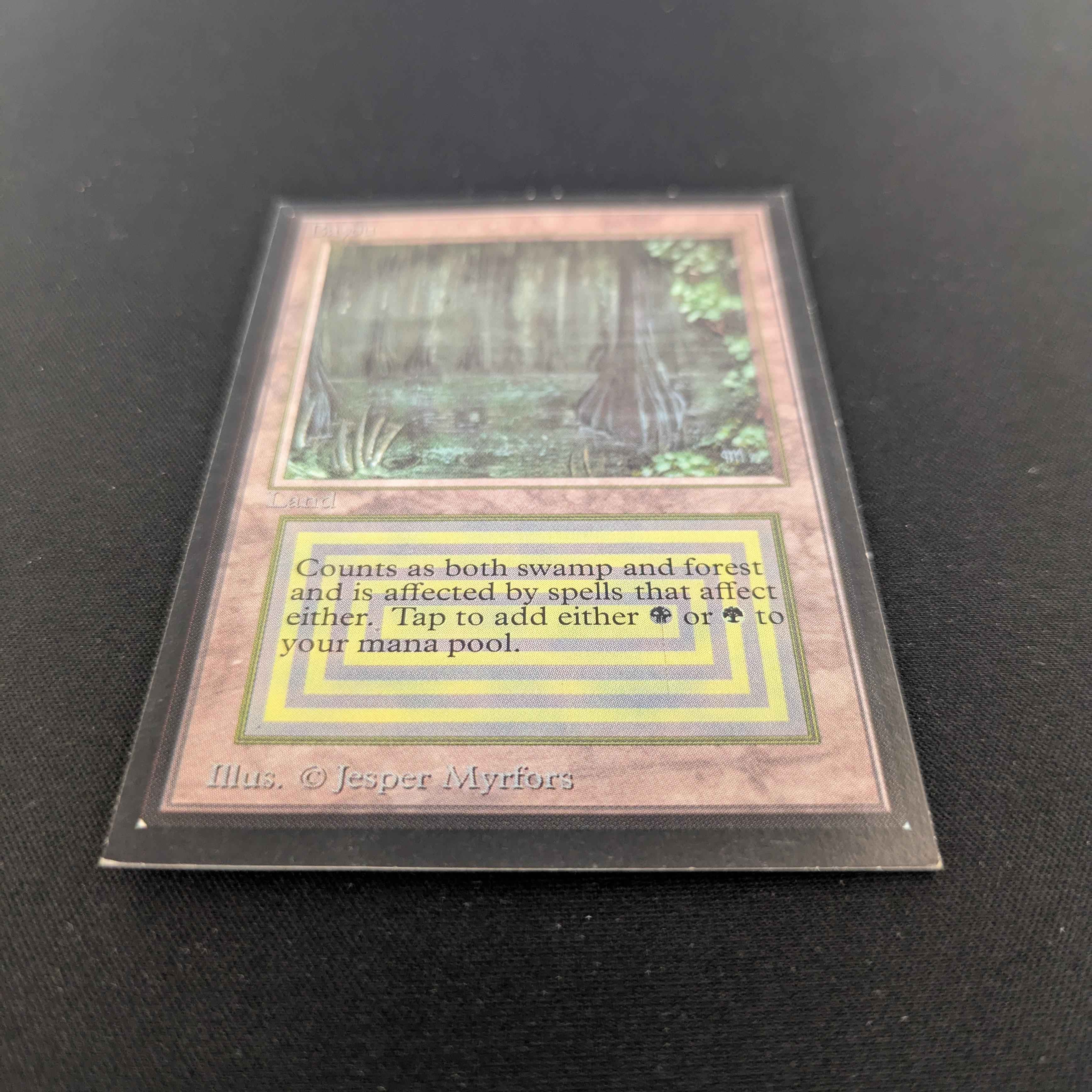 MTG Singles - Bayou - International Edition -