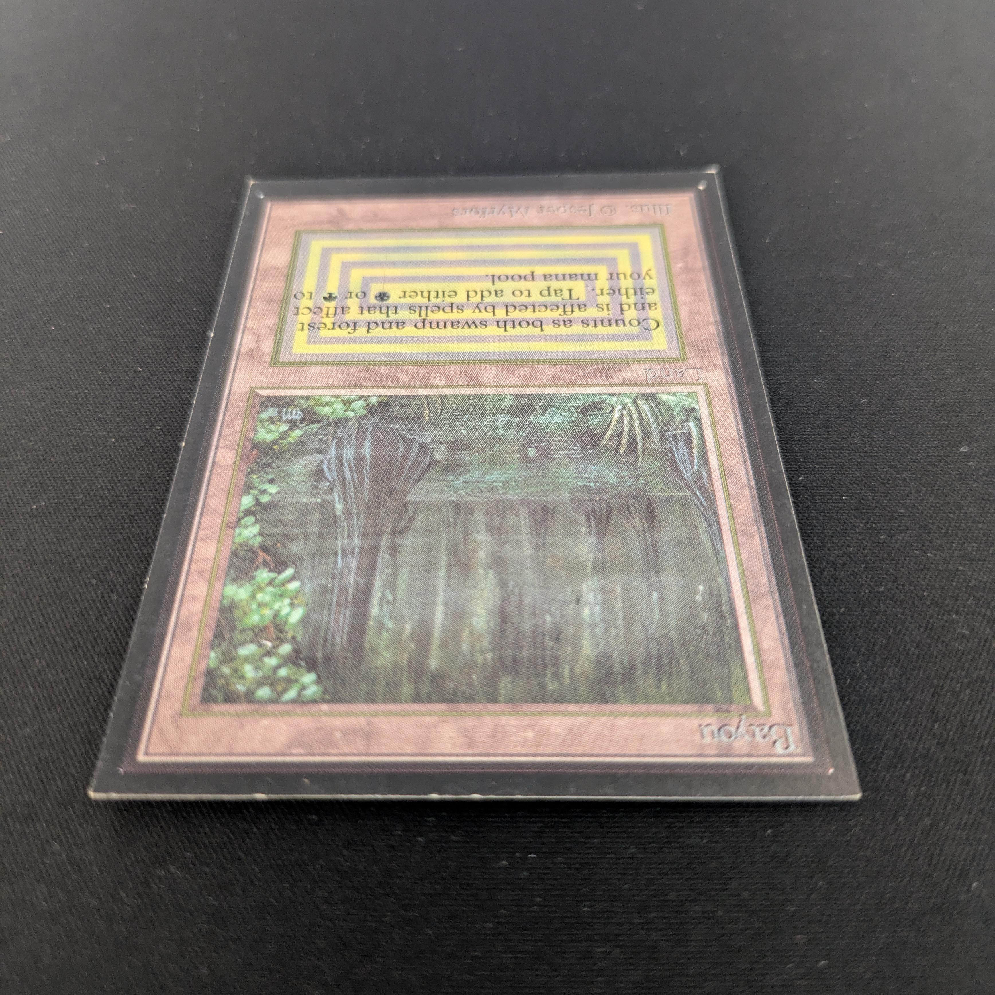MTG Singles - Bayou - International Edition -
