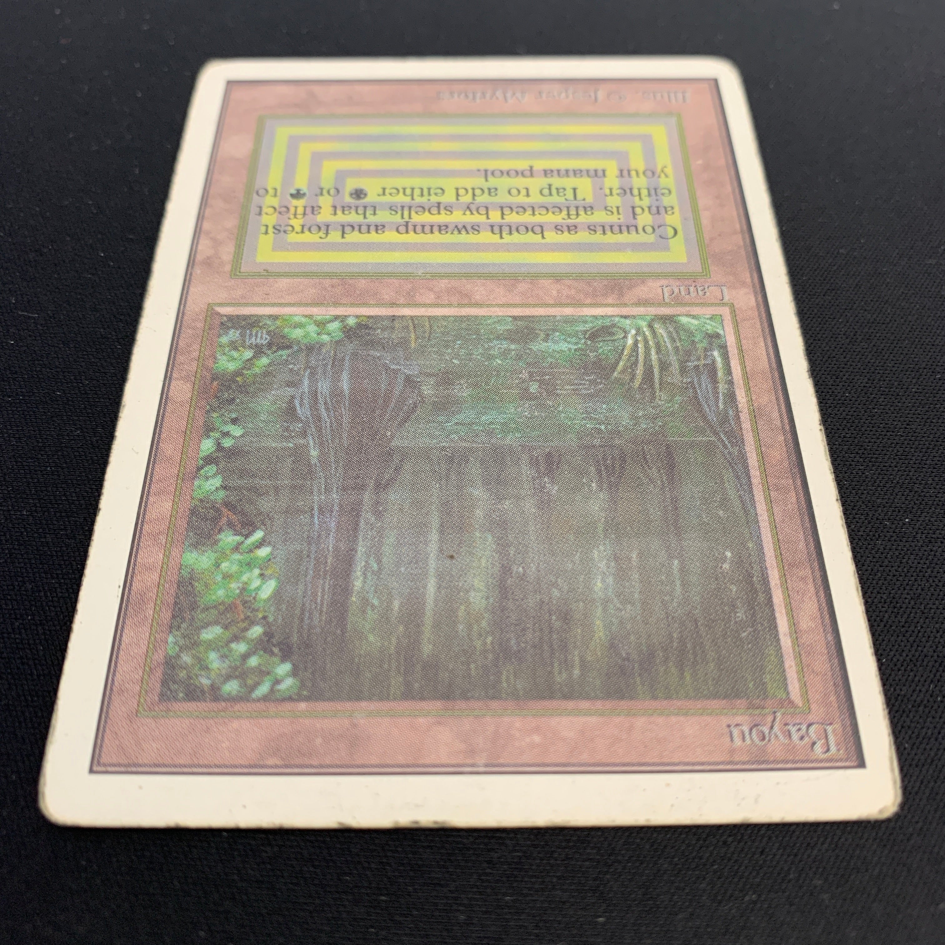 MTG Singles - Bayou - Unlimited -
