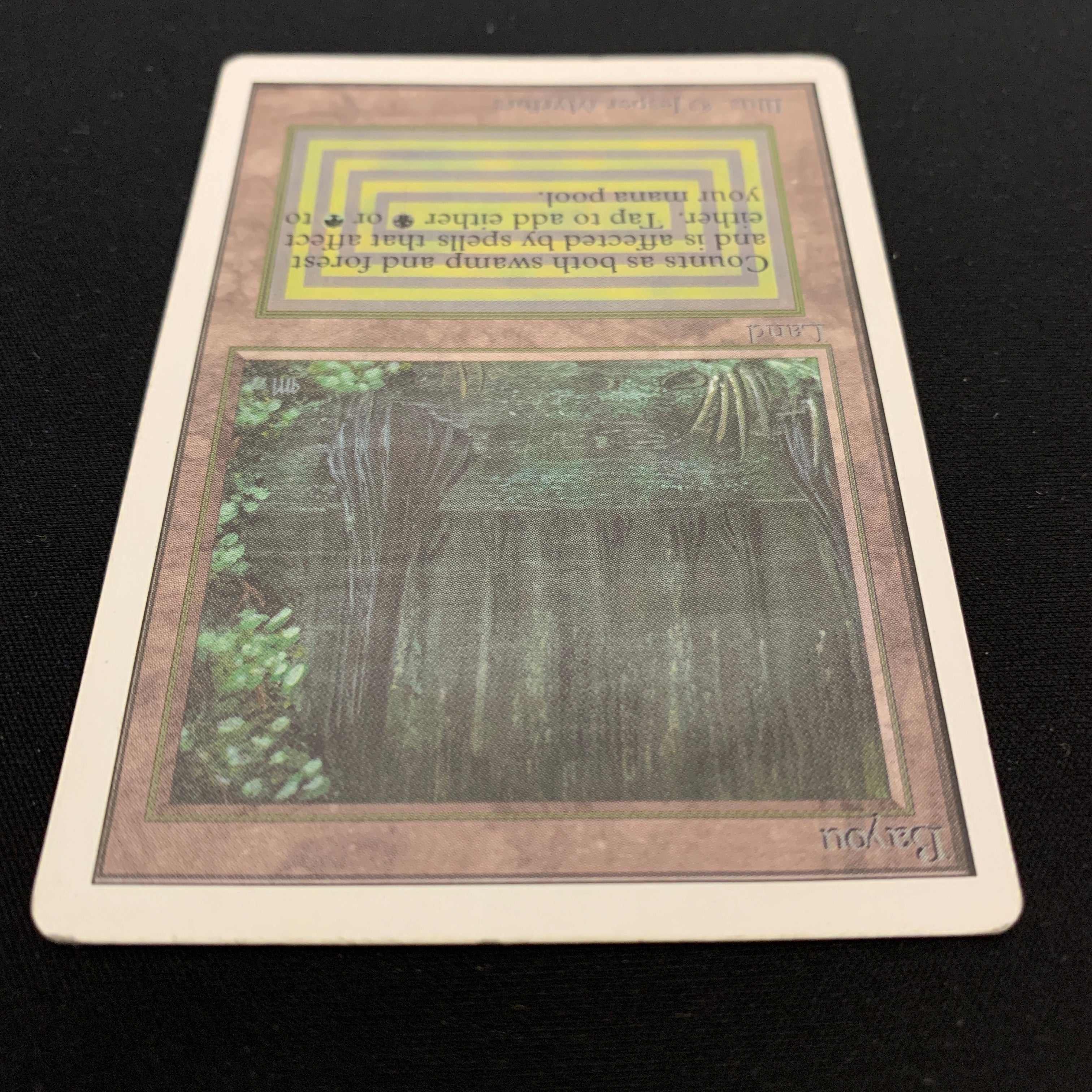 MTG Singles - Bayou - Unlimited -