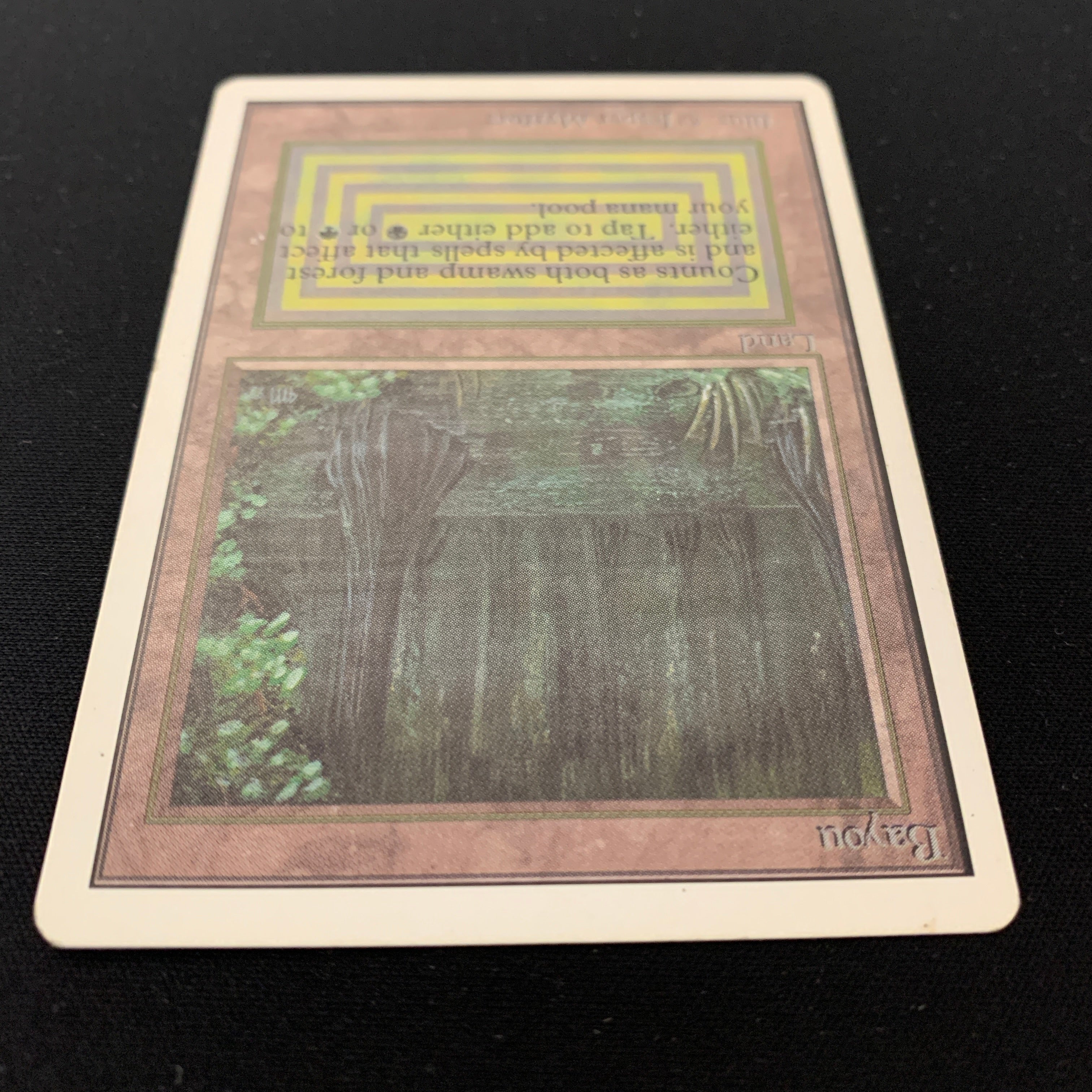 MTG Singles - Bayou - Unlimited -