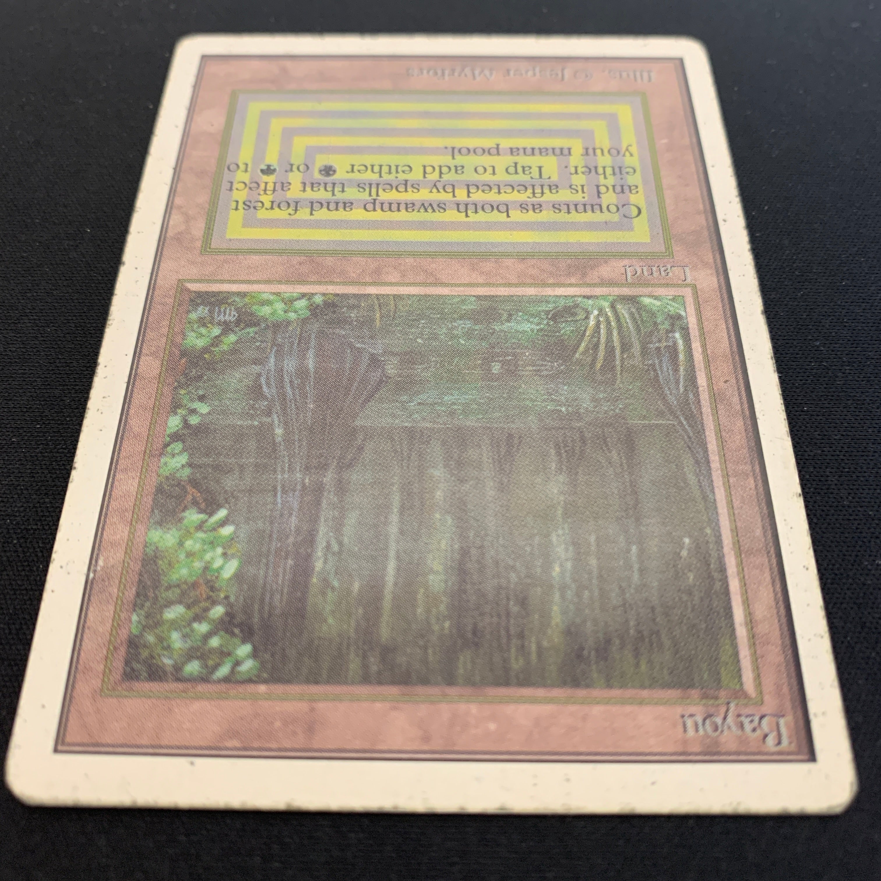 MTG Singles - Bayou - Unlimited -